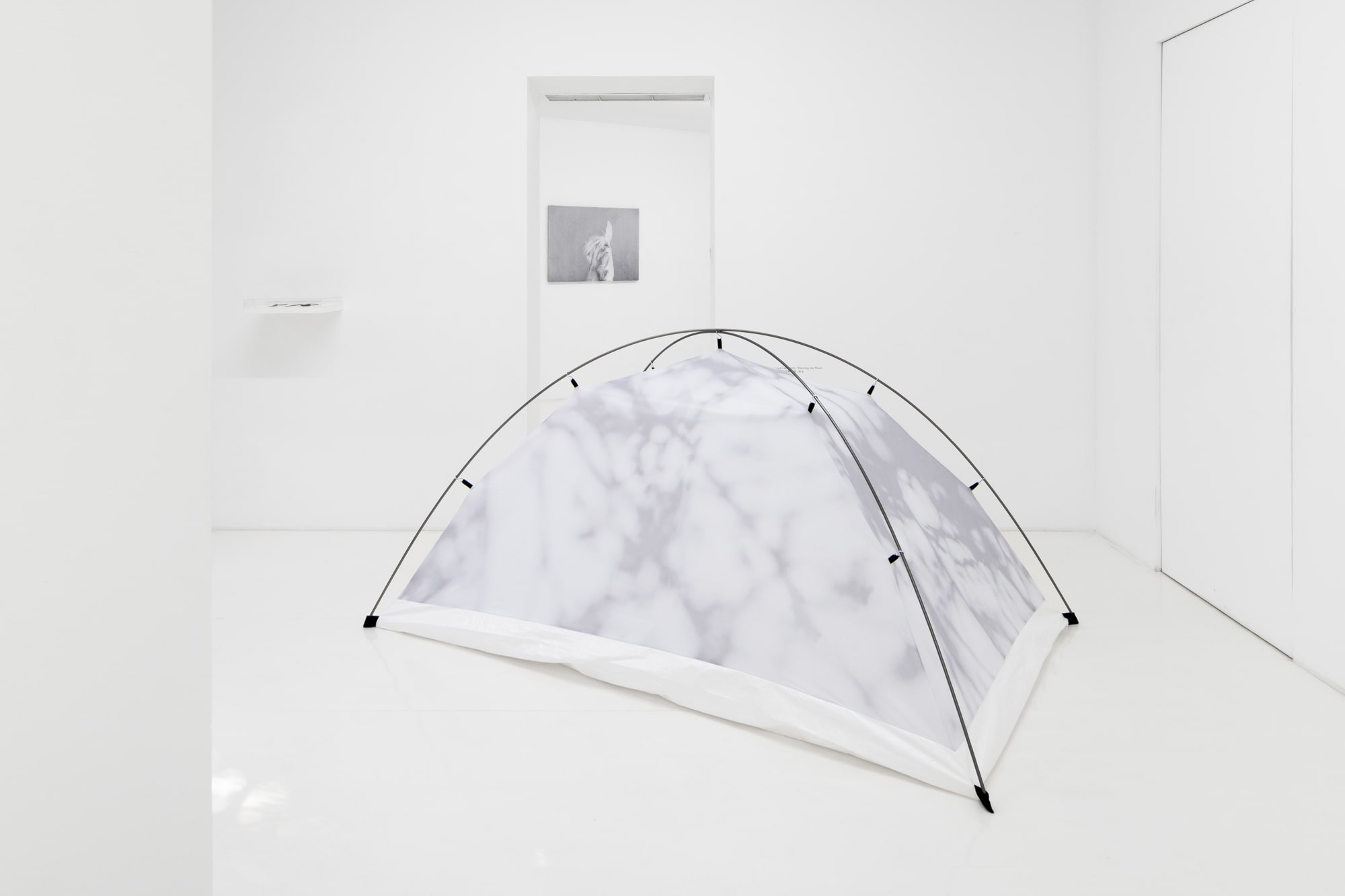 Luca Campestri: Watering the Plants