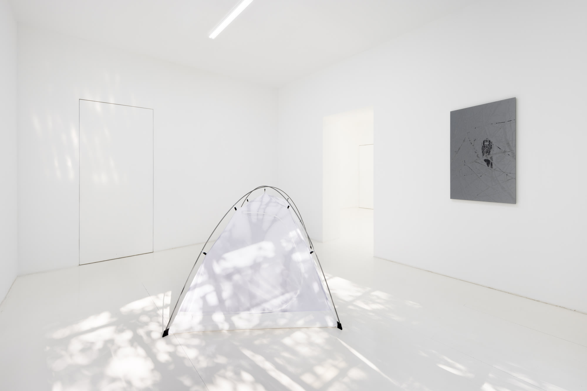 Luca Campestri: Watering the Plants