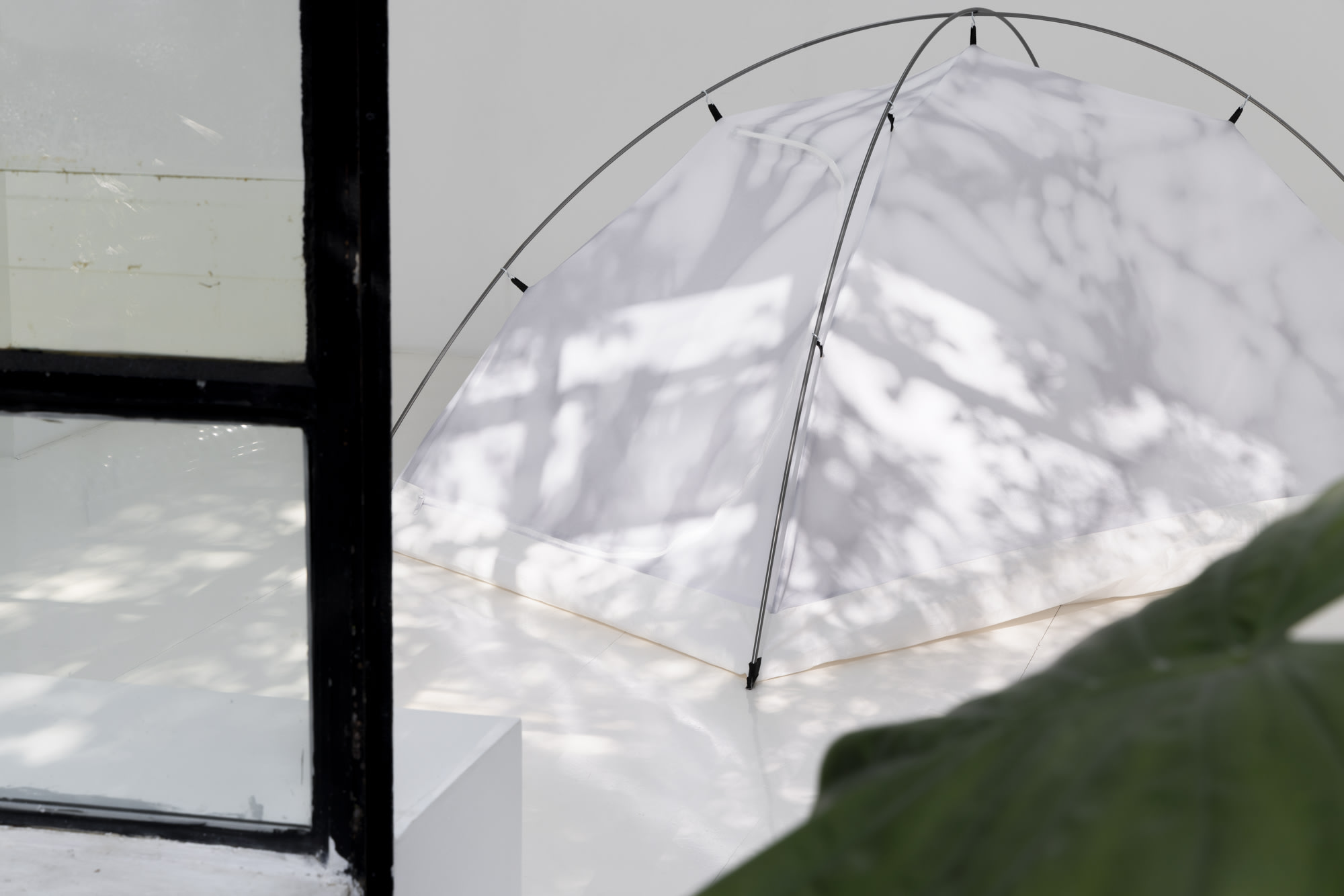 Luca Campestri: Watering the Plants