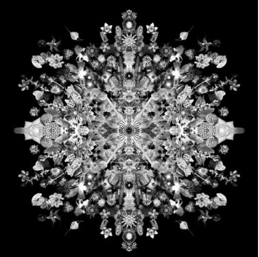 Shooting the Life Fantastic