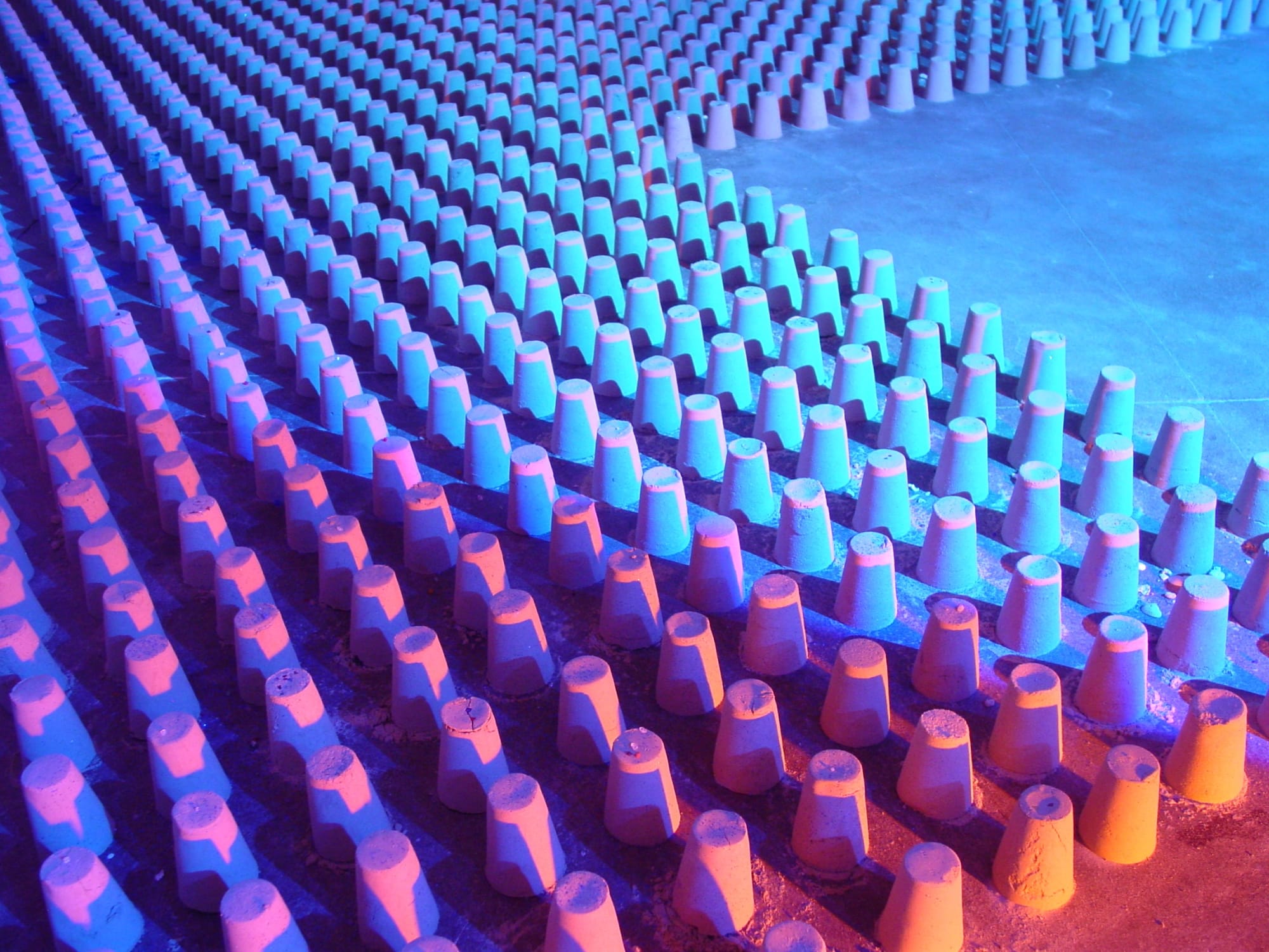 The Enchanted Island