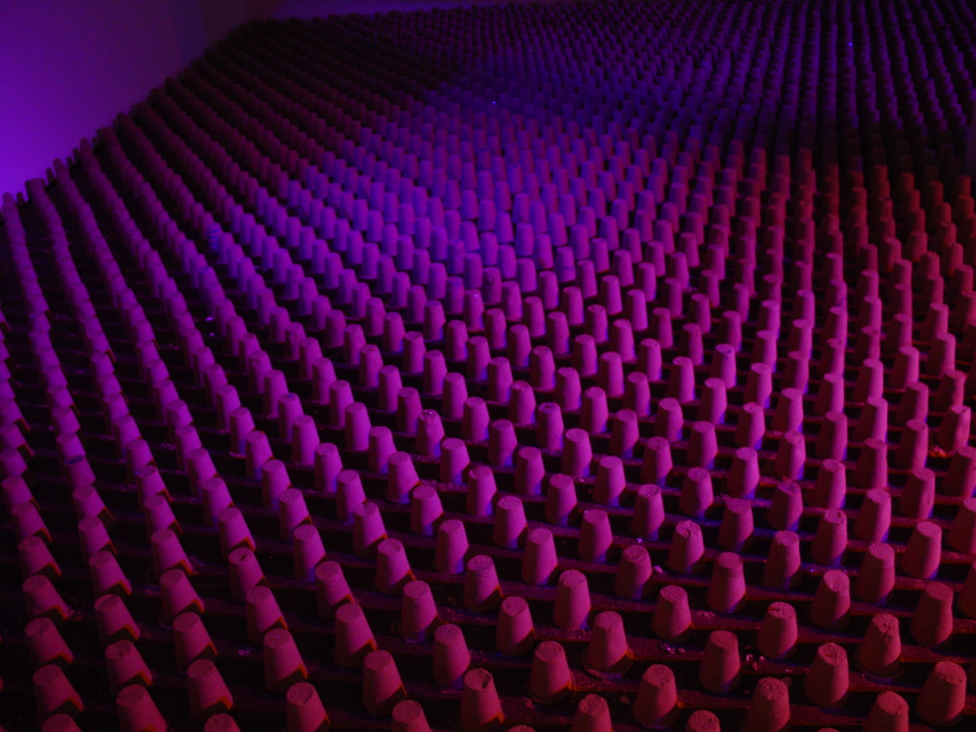 The Enchanted Island