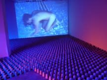 The Enchanted Island