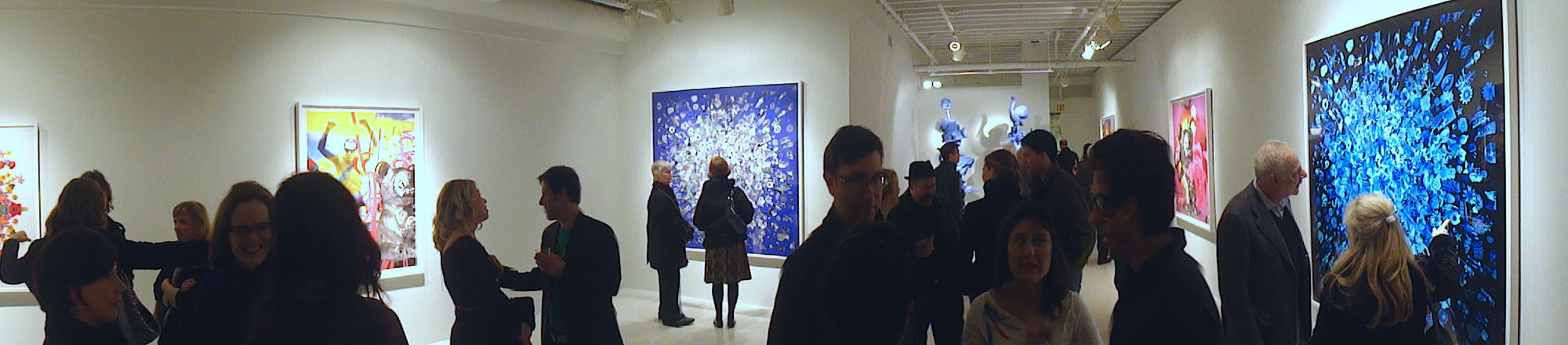 Portrait of A Garden