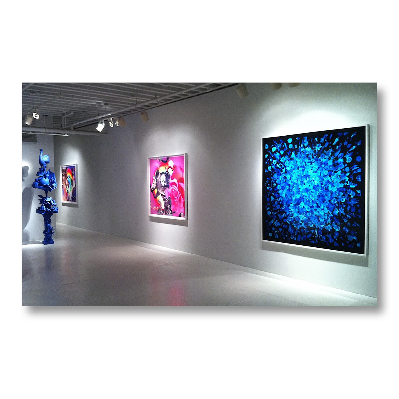 Portrait of A Garden