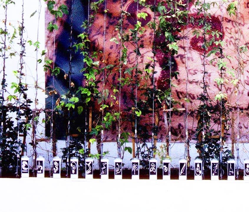 Outdoor Photography Project