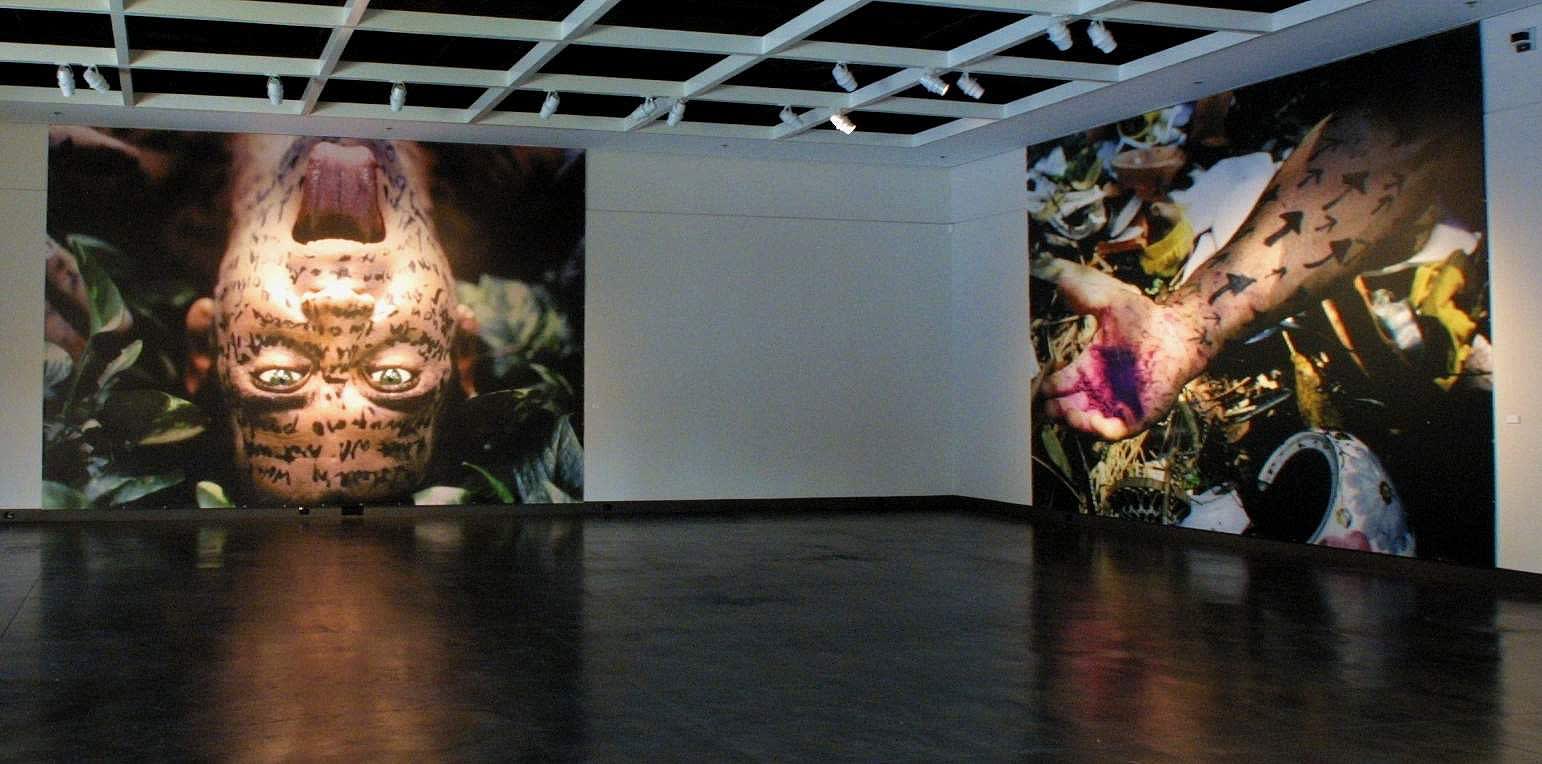 Carlos Betancourt: Interventions in Nature