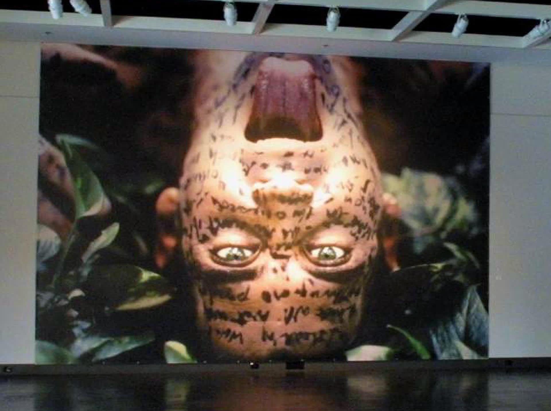 Carlos Betancourt: Interventions in Nature