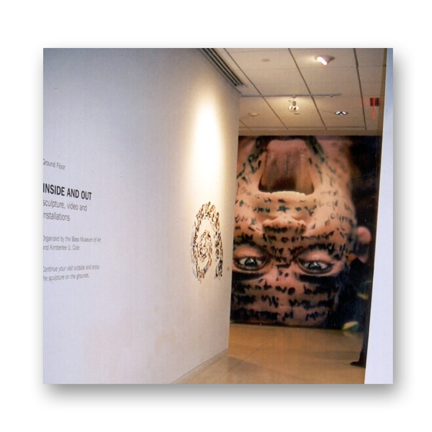 Inside and Out: Sculpture, Video and Installation Bass Museum of Art