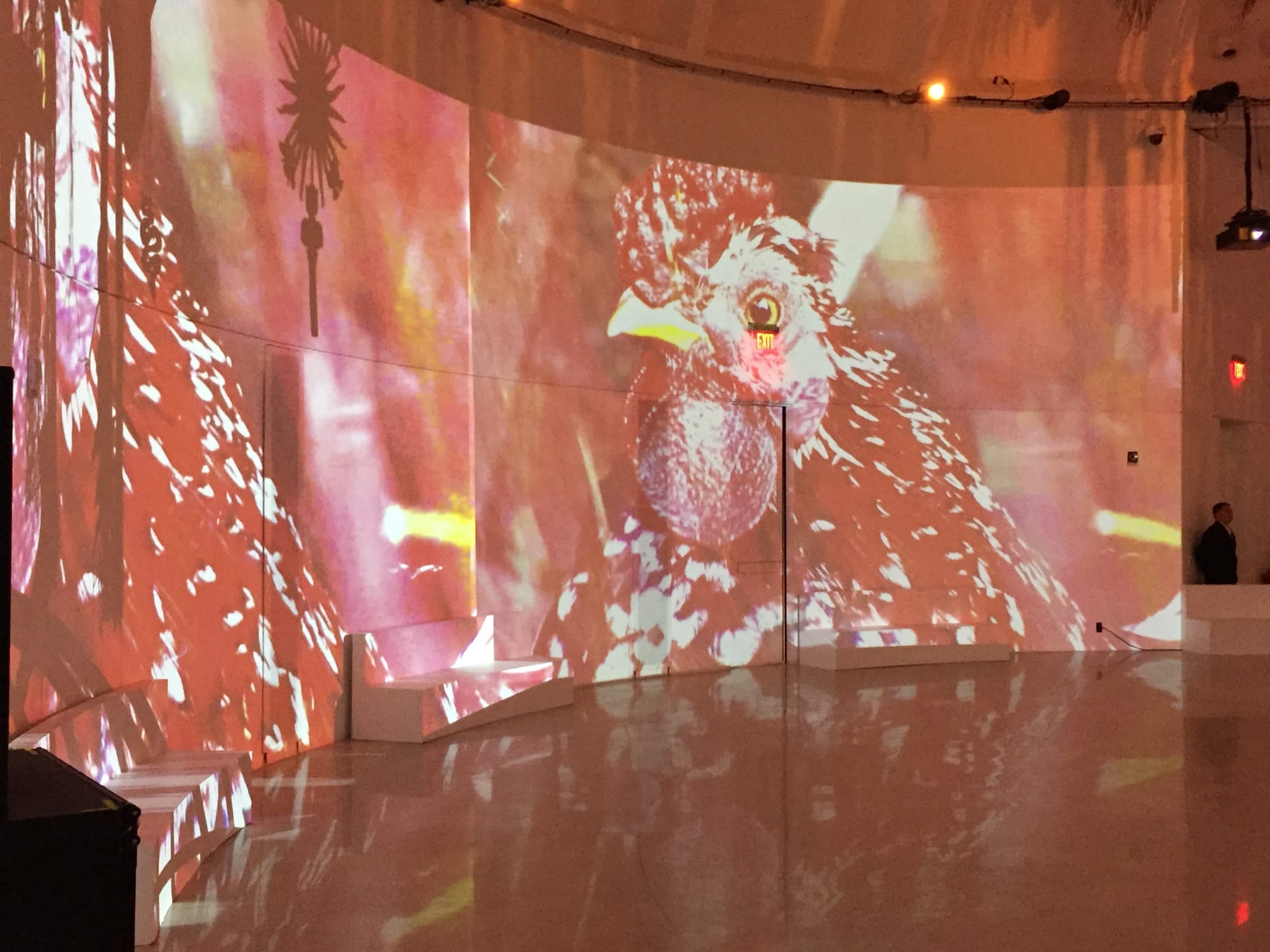 Noche de Brujas The Anti-Concert, A Contemporary Ritual