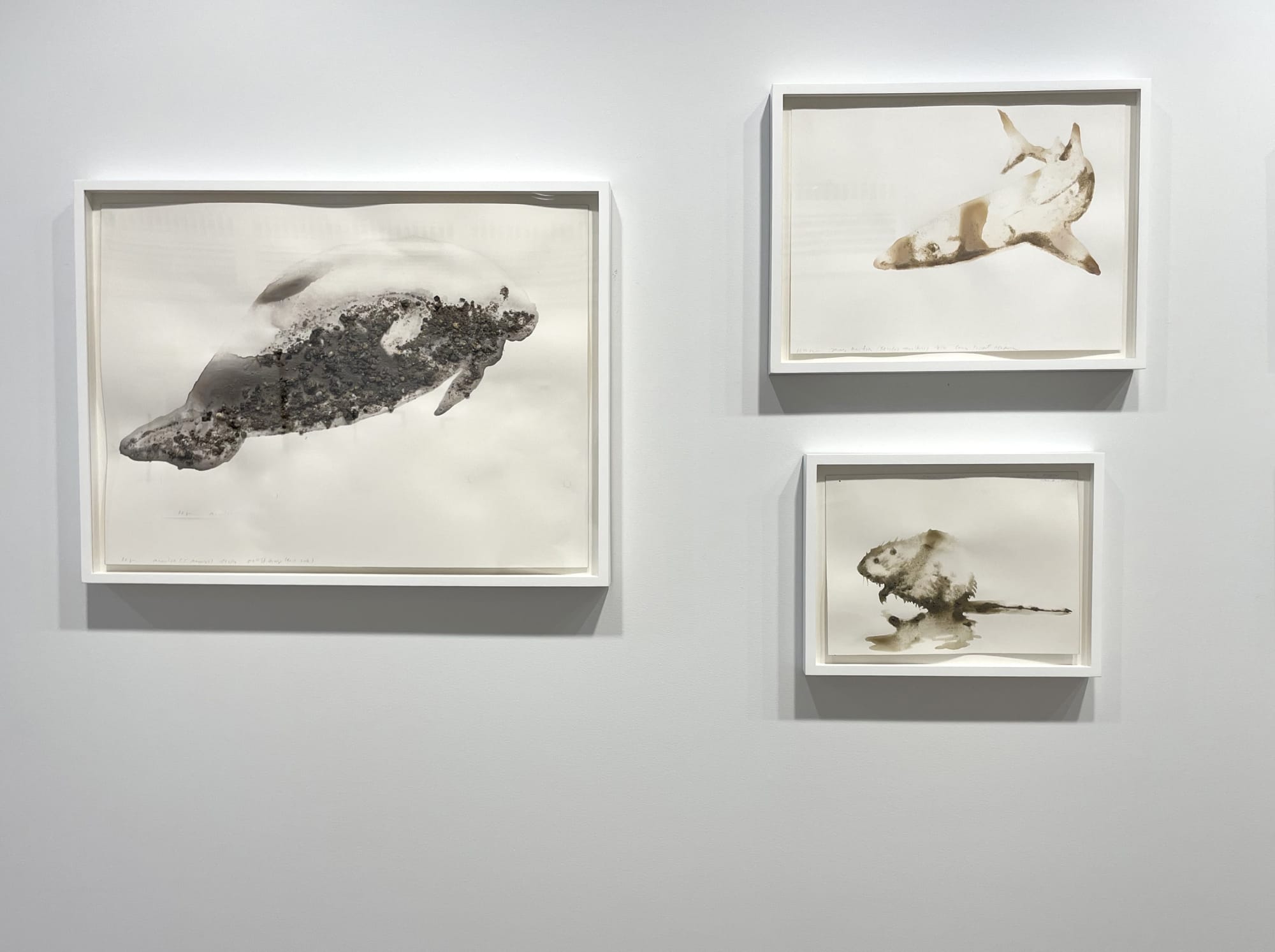 Beating under cover of the woods