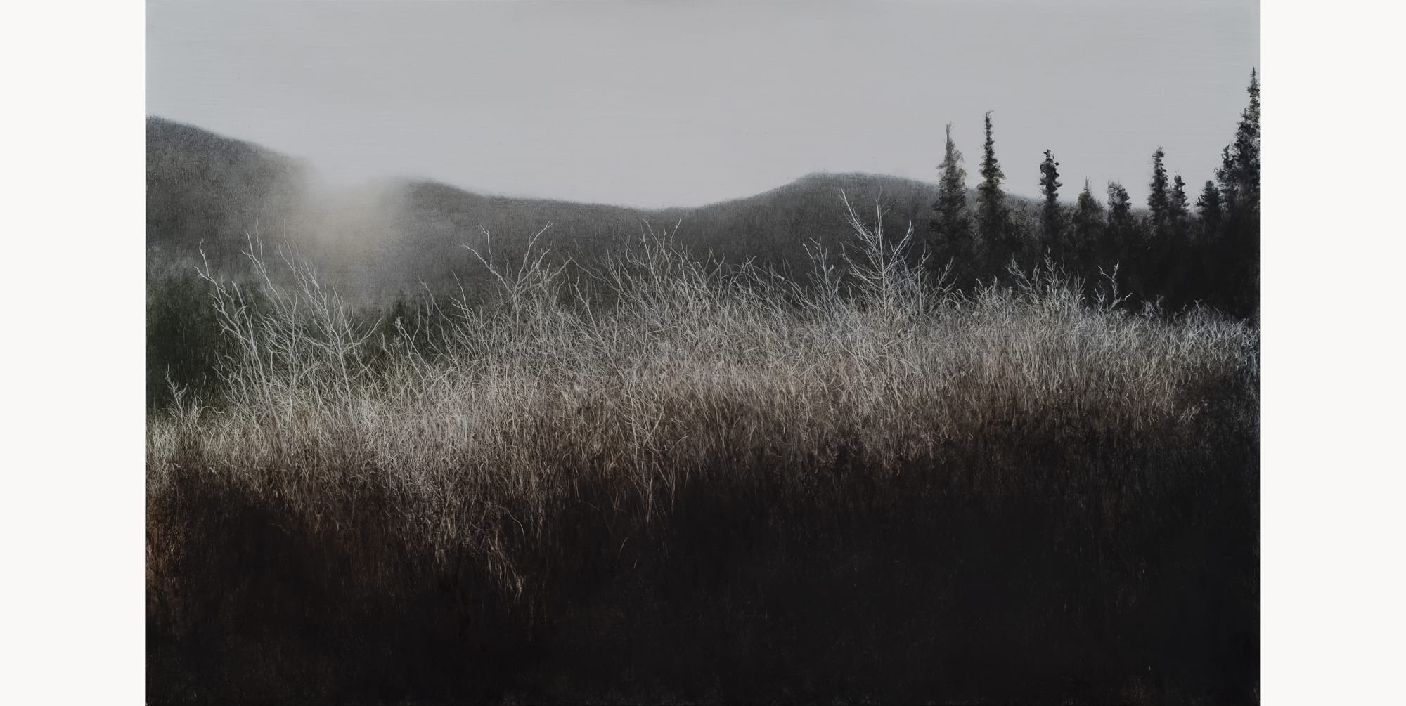 Hazy Shade of Winter