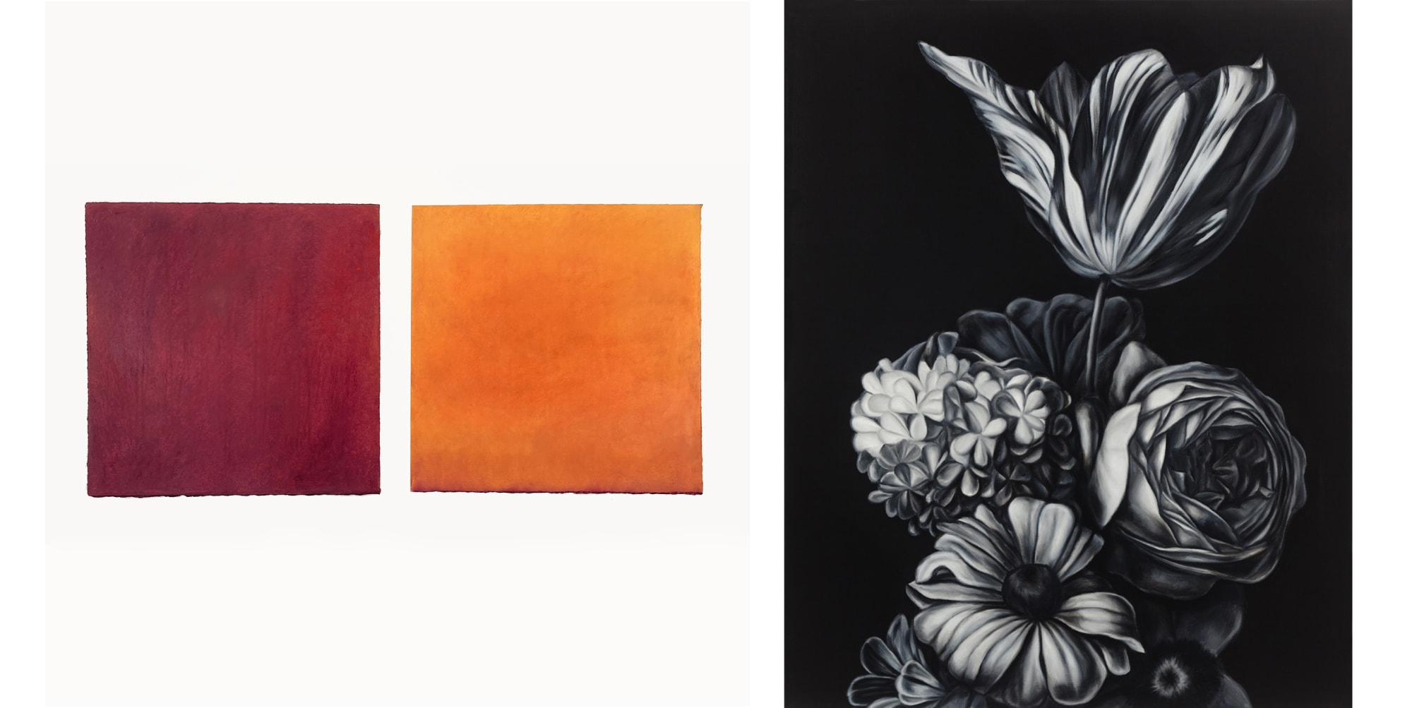 Concurrent exhibitions: Daisy Craddock and Shelley Reed