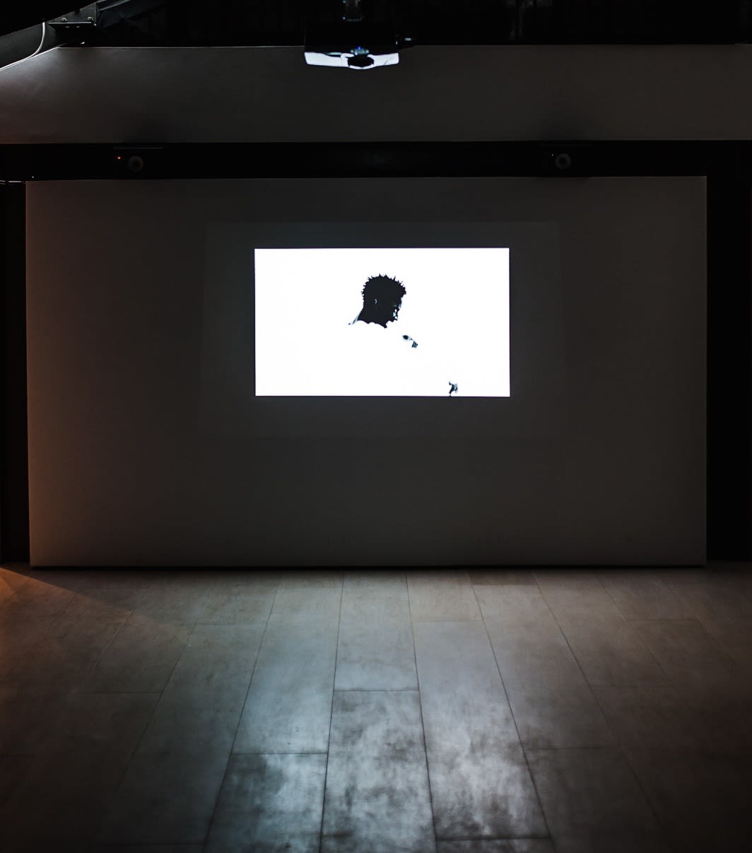 Cinema Screen at Cecilia Brunson Projects