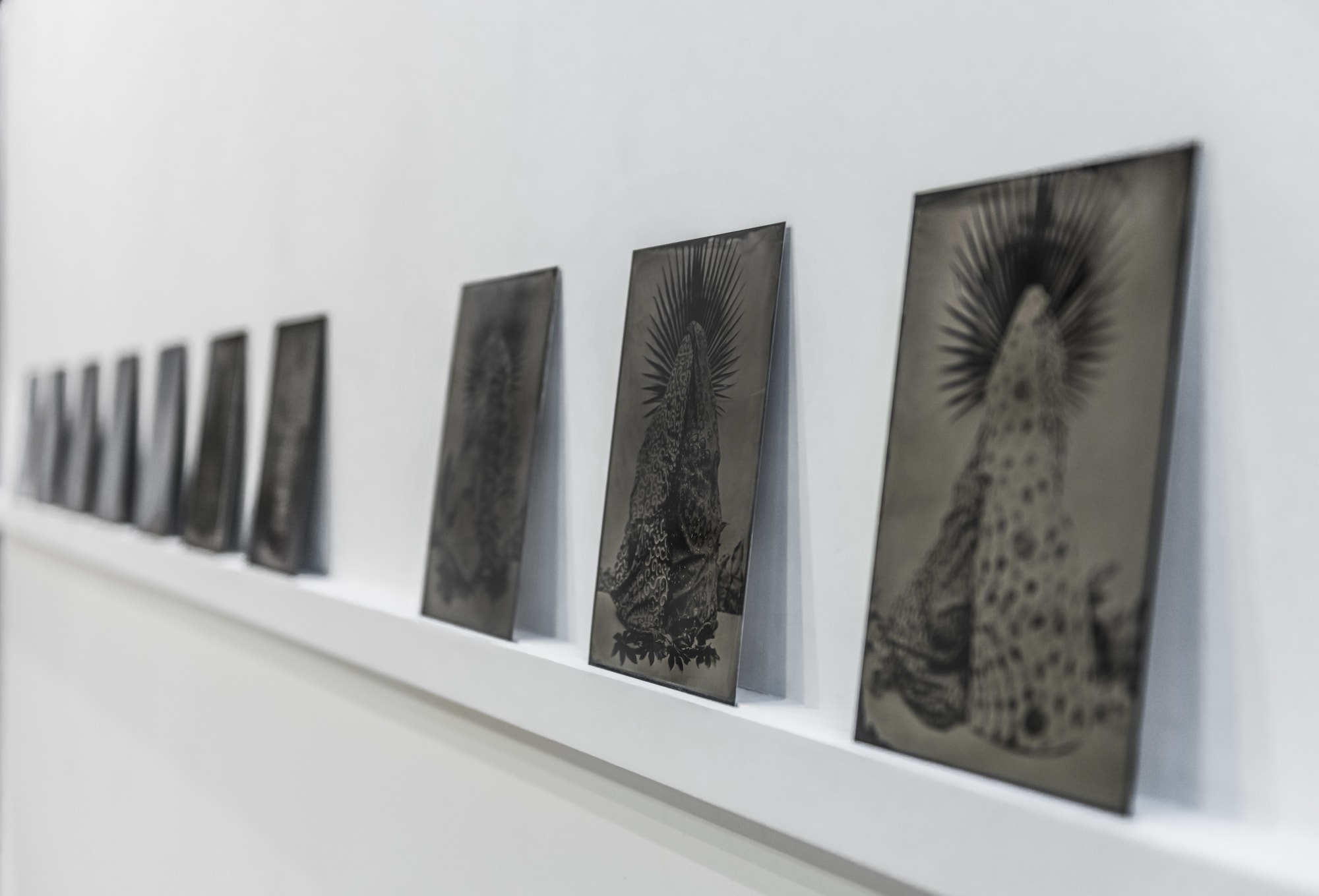 A Garden For Beatrix series, Installation Shot