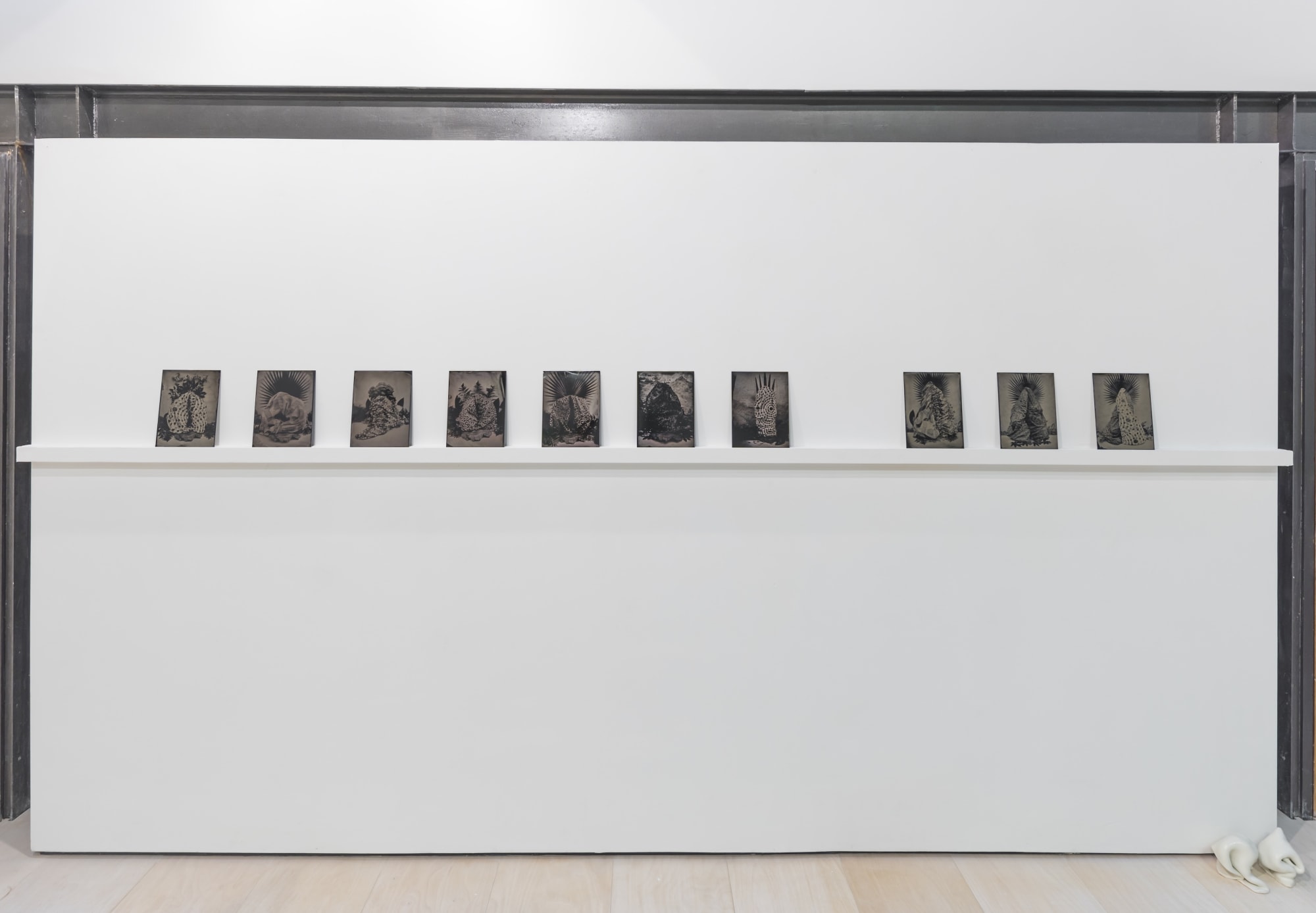 A Garden For Beatrix series, Installation Shot