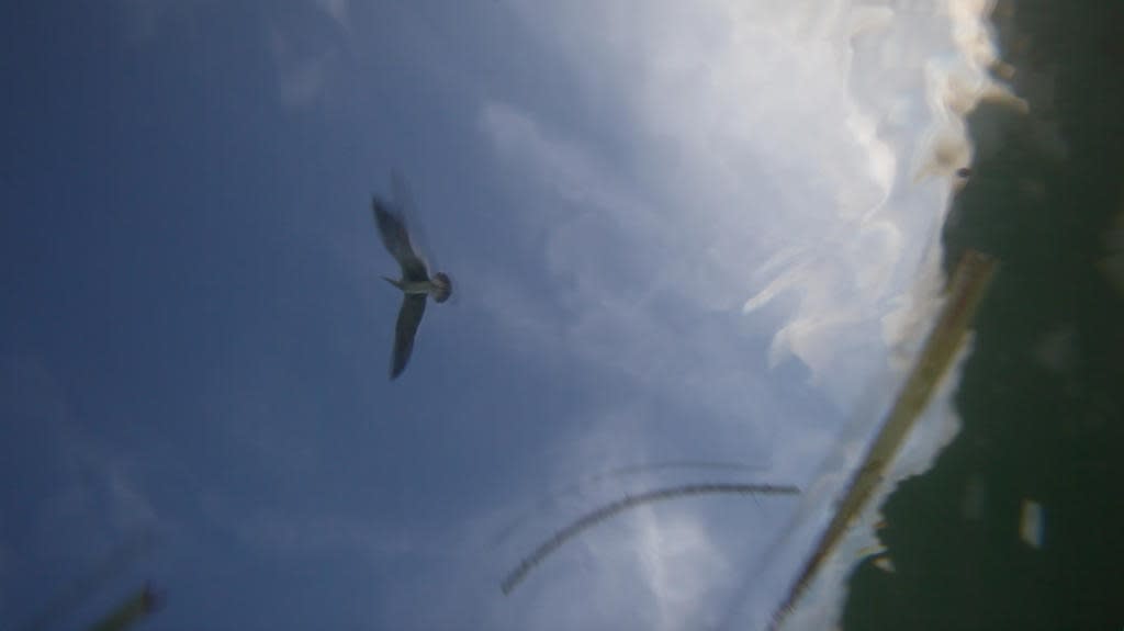 And the Sea Will Talk to You, 2012 (still from video)