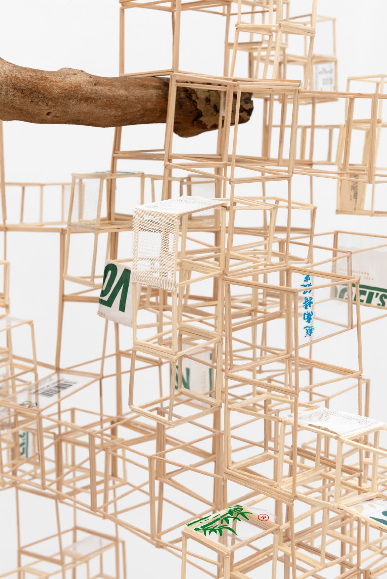 Photography by Eva Herzog