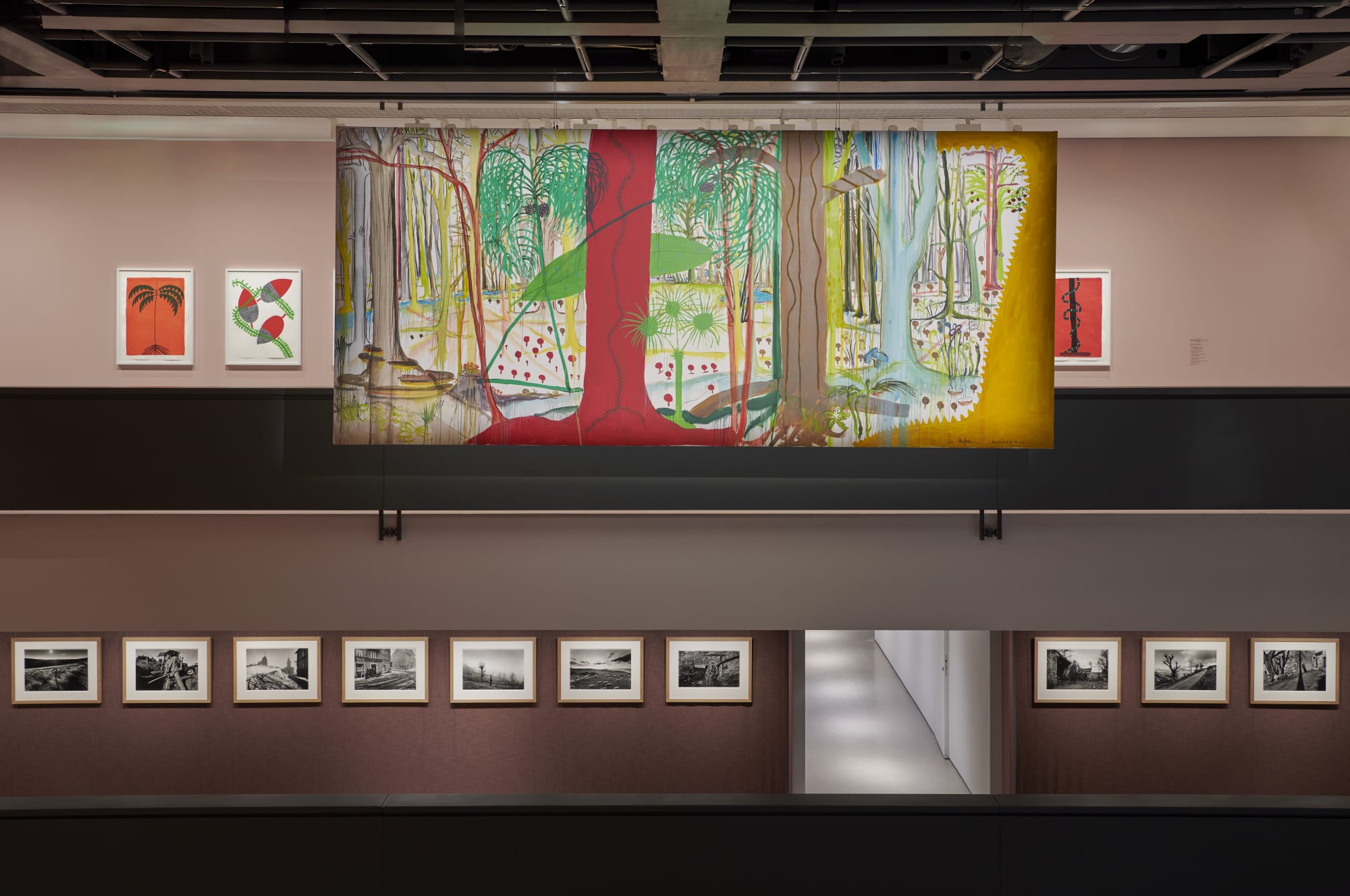 Sheroanawe Hakihiiwe at Fondation Cartier, Paris. © Marc Domage