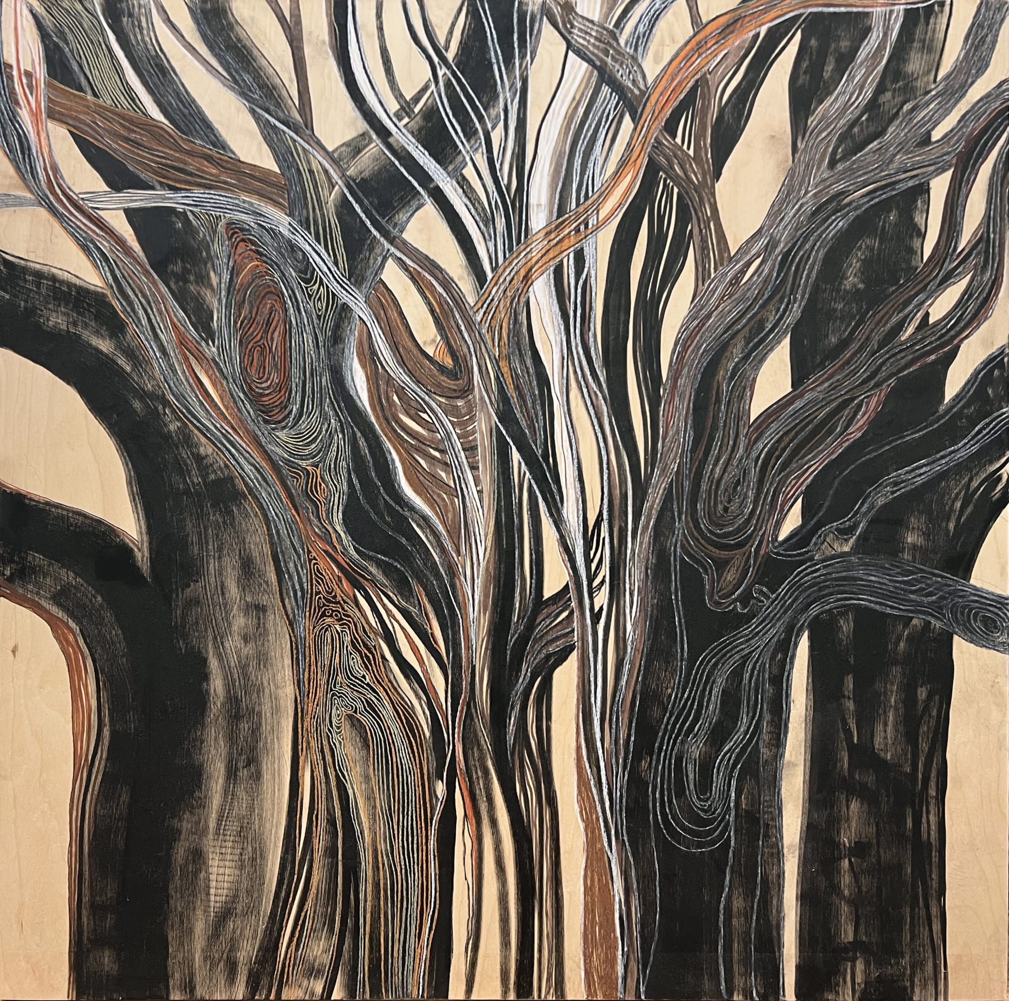 Wooded Terrain 1, 2021 Charcoal, Pastel and Ink on Raw Wood Panel, 40 x 40 inches