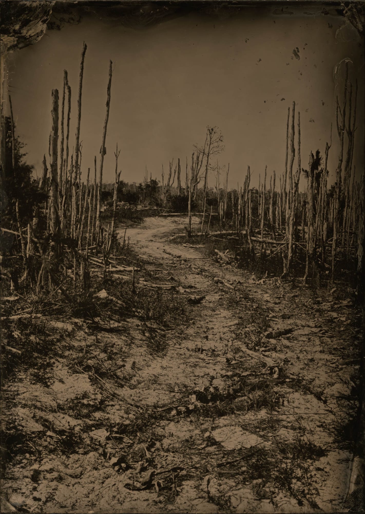 London Amara, Human Touch, 2018 Ambrotype original, archival pigment print, 50 x 40 inches