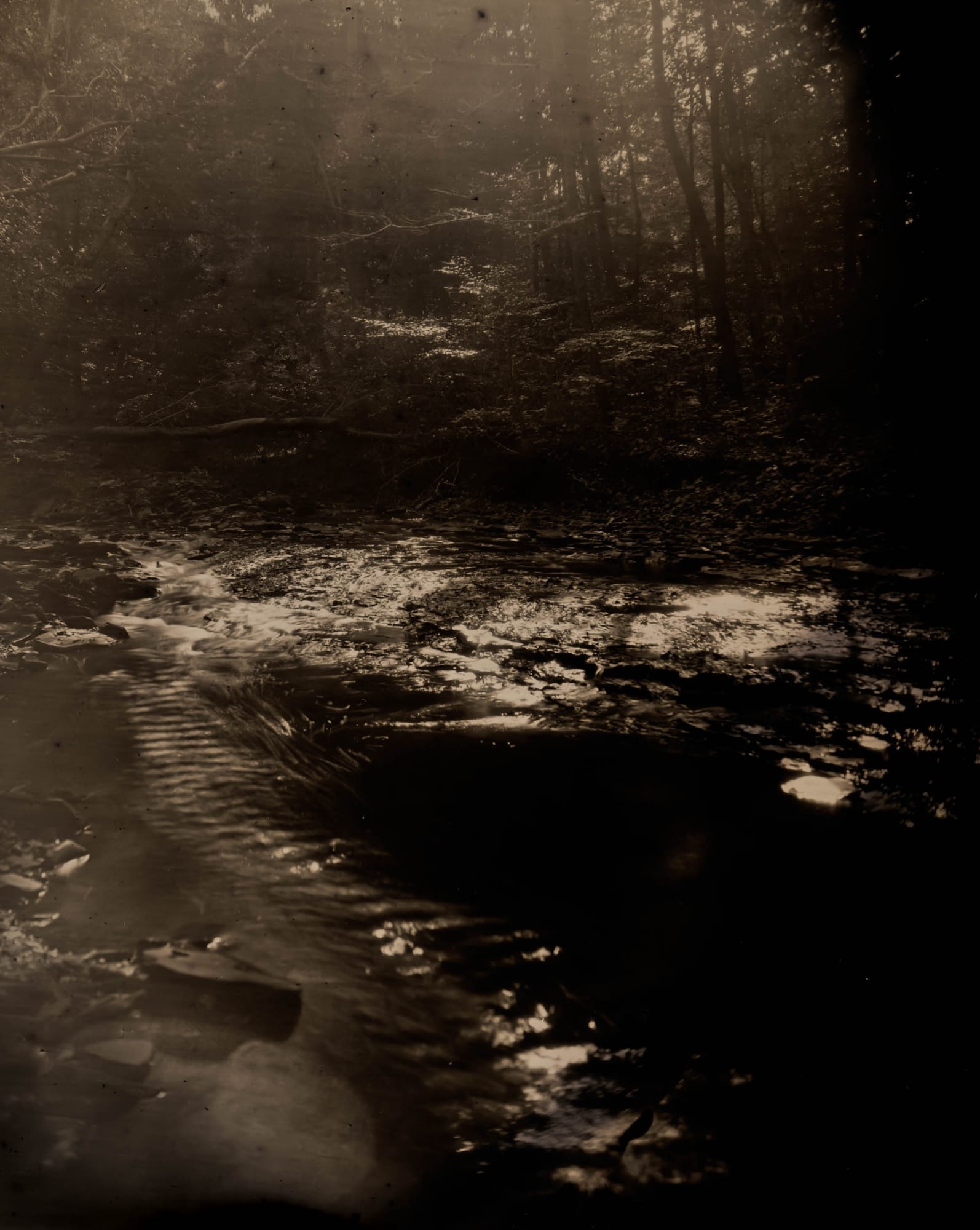 London Amara, Last Light, 2018 Ambrotype original, archival pigment print, 50 x 40 inches