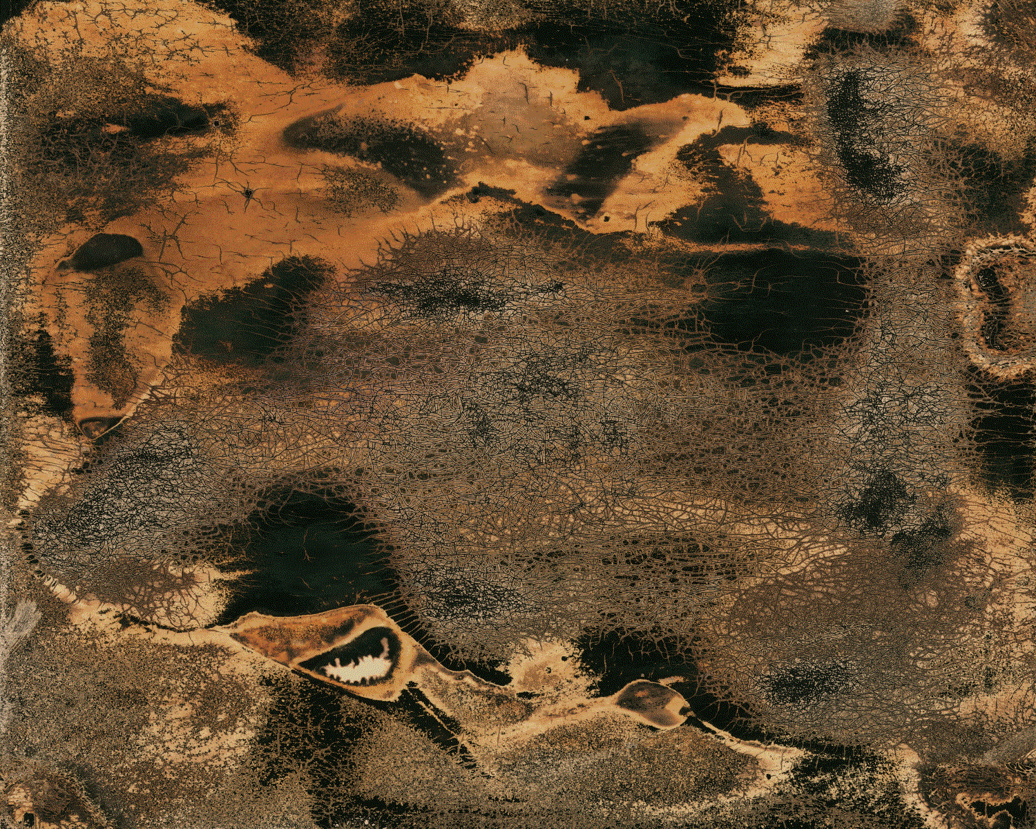 Nolan Preece, Desert #1, 2013 Pledge Resist Chemigram, 16 x 20 inches