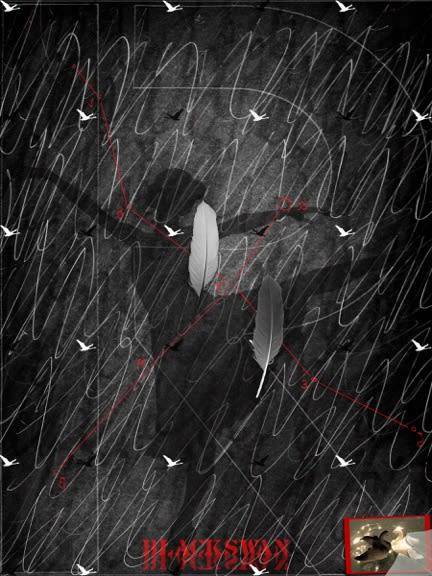 John A. O'Connor, Swan Lake/Black Swan (Diptych R), 2015 Acrylic on Sintra, 40 x 30 inches