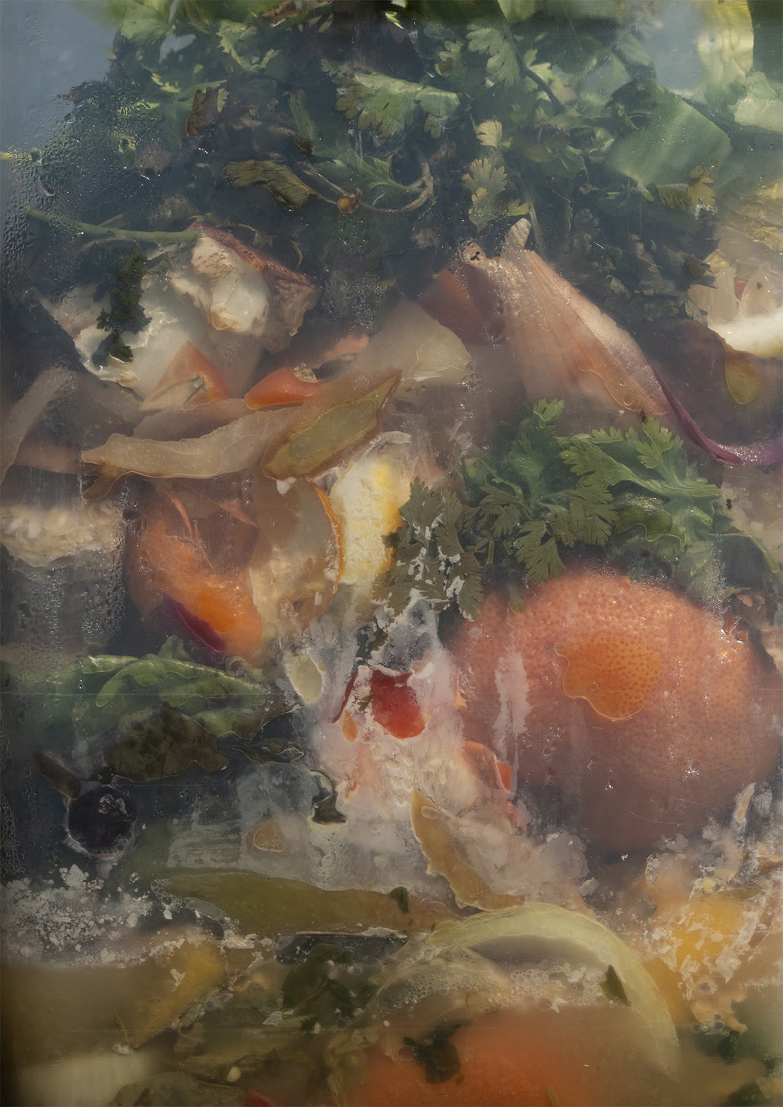 Nancy Macko Cornucopia, 2022 Archival pigment print 40 x 26 or 22.5 x 15 inches