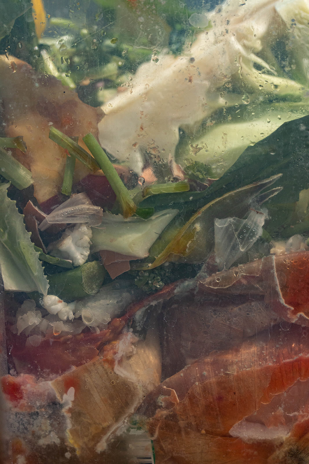 Nancy Macko Fresh Tumble, 2020 Archival pigment print 64.5 x 42 or 32 x 21 inches