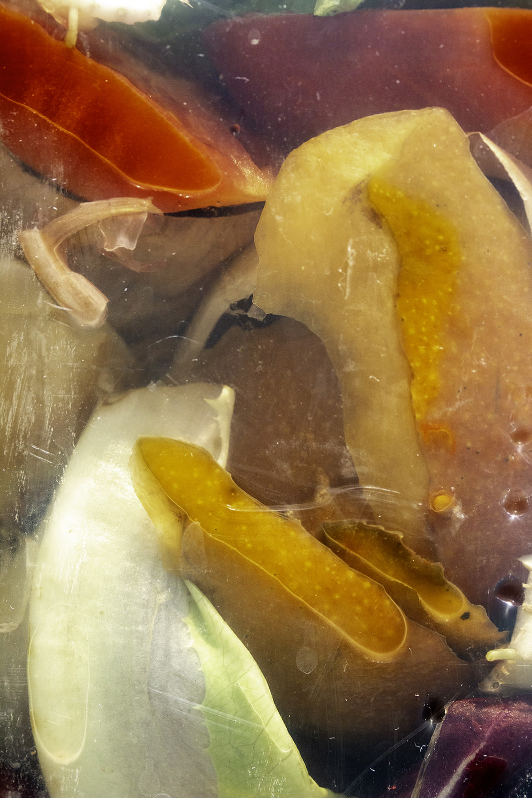 Nancy Macko Squish, 2020 Archival pigment print 40 x 26 or 22.5 x 15 inches