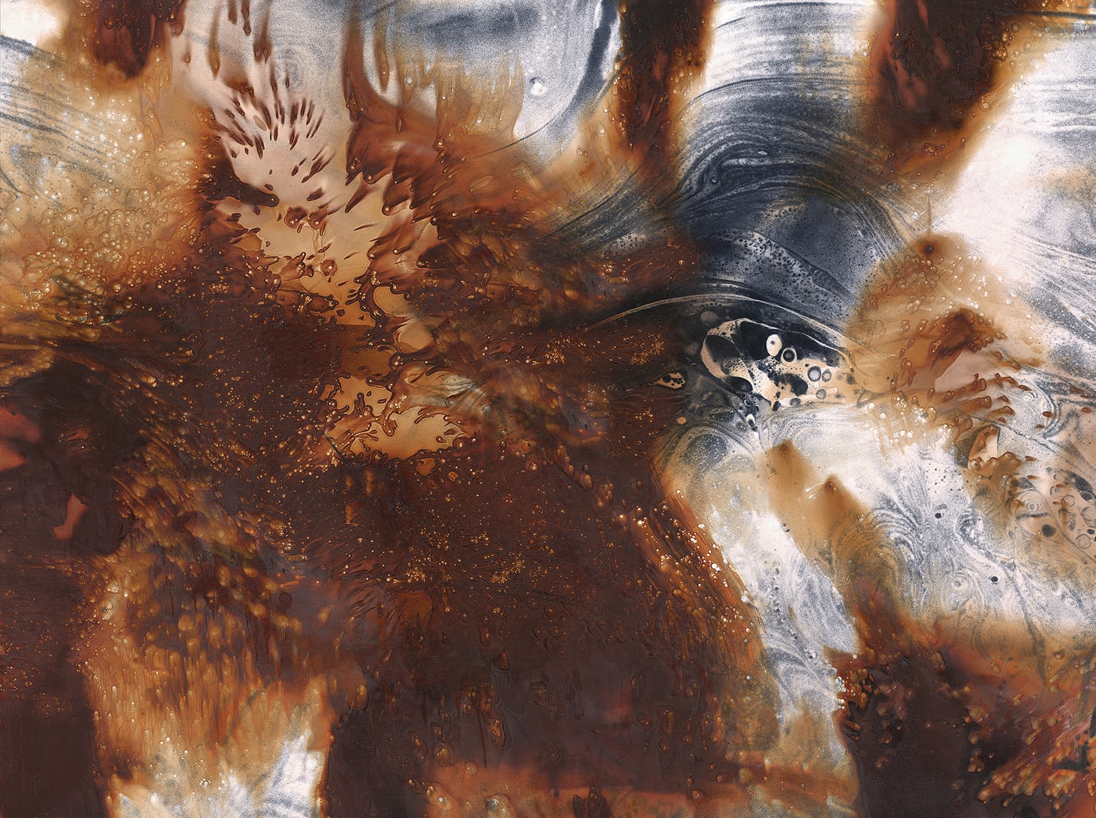 Nolan Preece, Bullfight, 1983, Silver Gelatin 8x10 inches