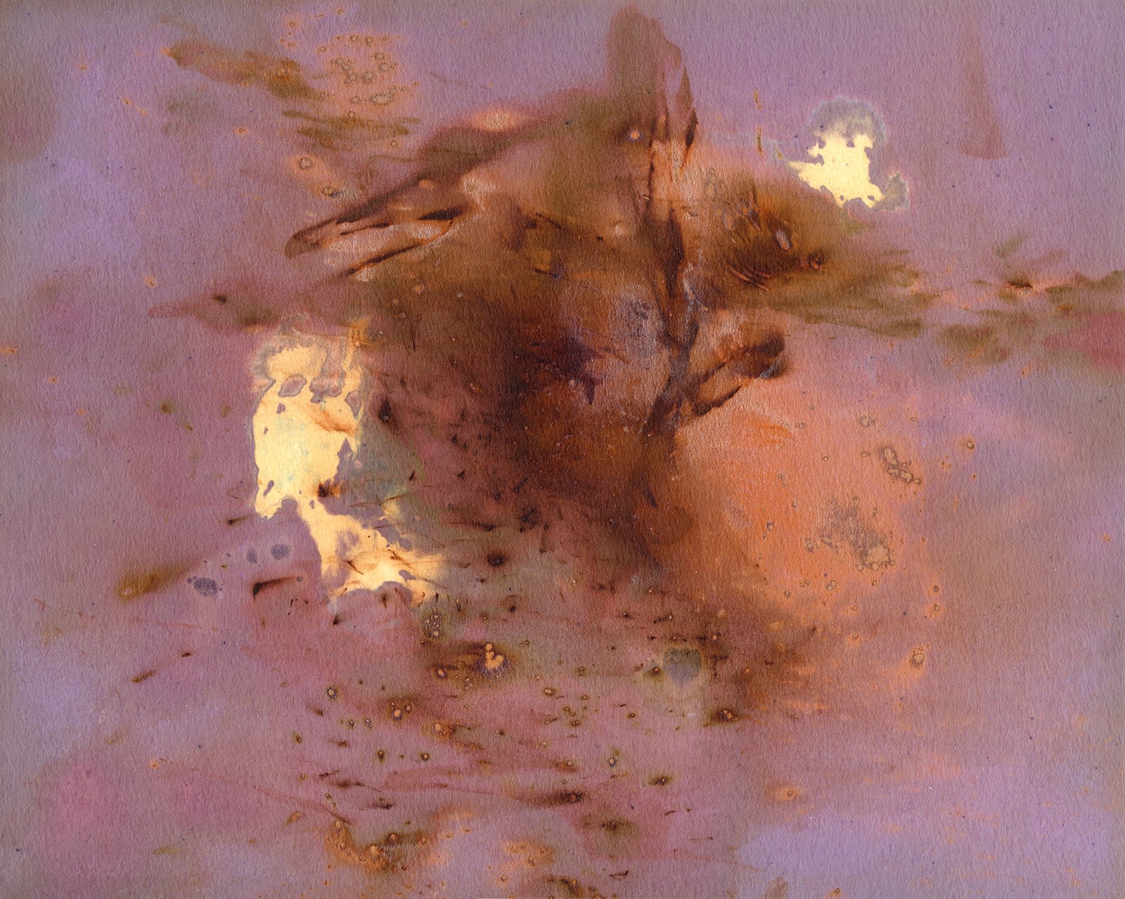 Nolan Preece, Monterey Chemogram #2, 1990, Gold toned silver gelatin, 8x10 inches