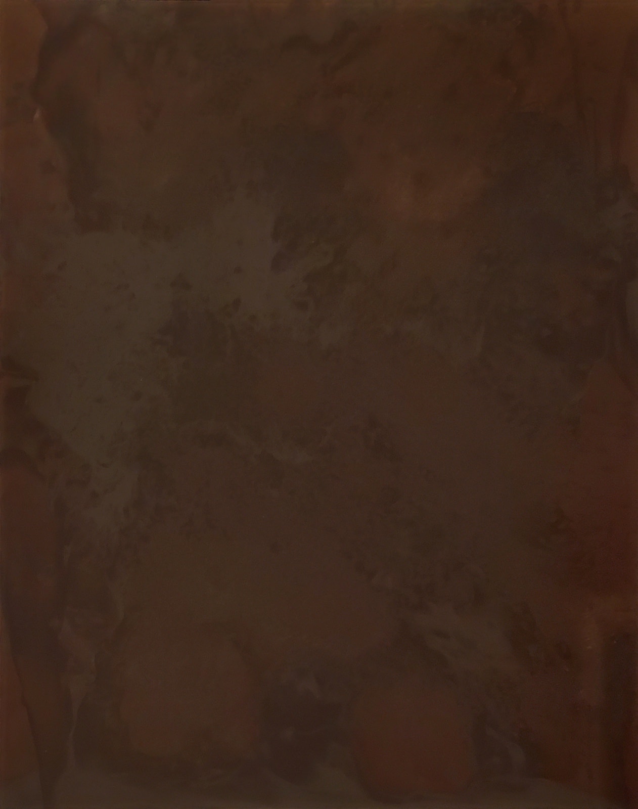 Nolan Preece, Brown Chemogram, 1993, Gold toned silver gelatin, 20x16 inches