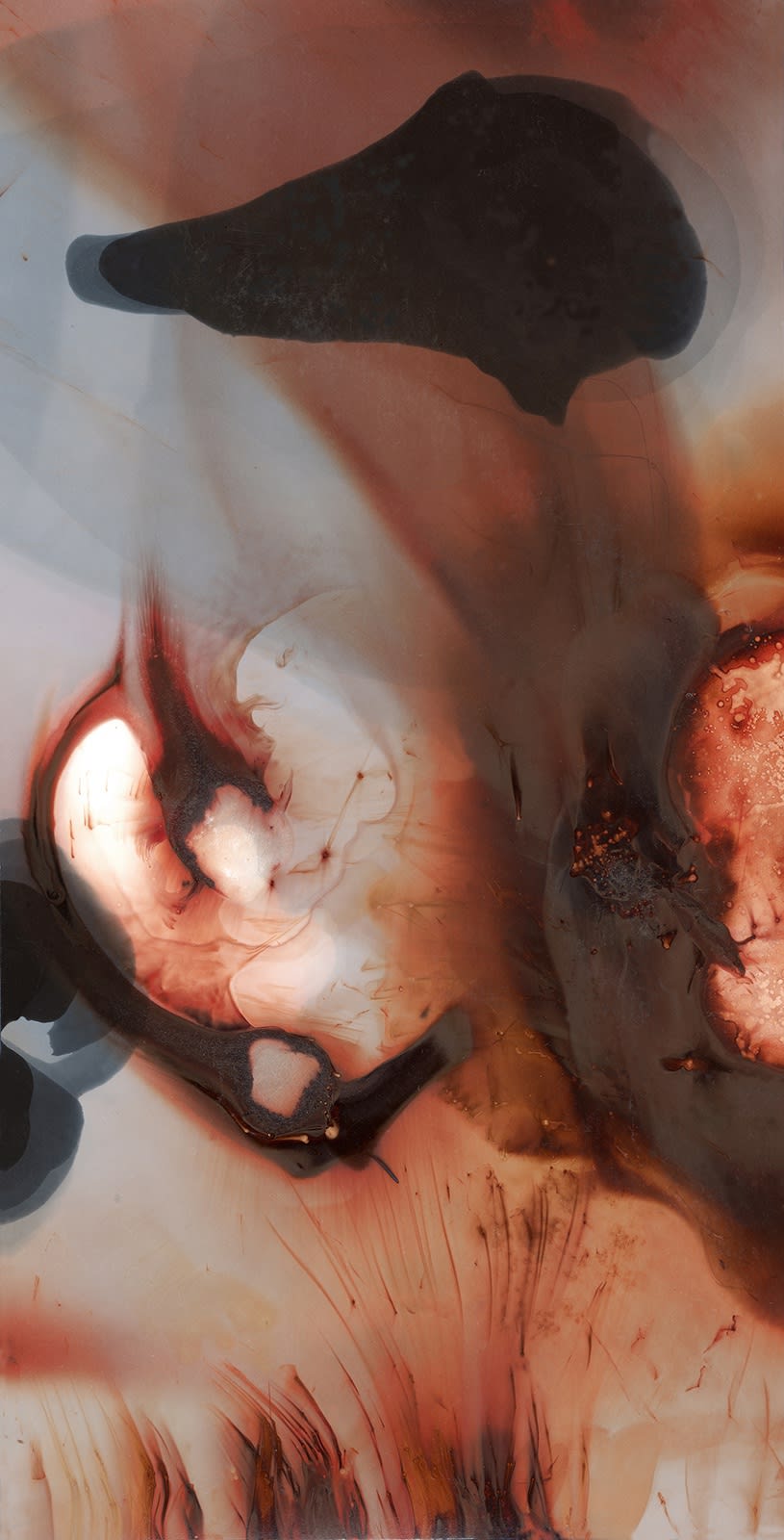 Nolan Preece, Cheical Apparition, 1996, Gold toned silver gelatin, 9.5x5 inches