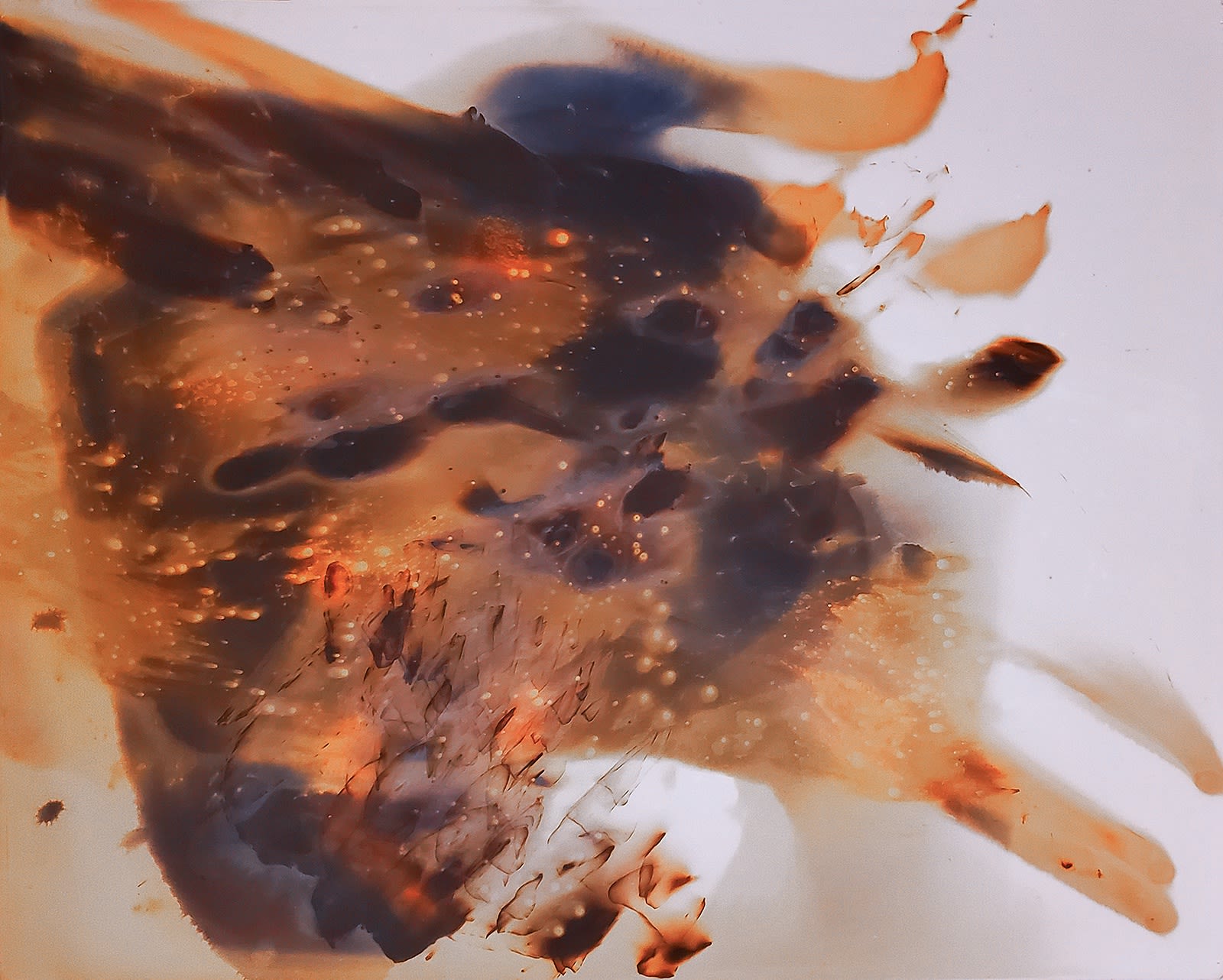 Nolan Preece, Something Coming, 1981, Gold toned silver gelatin, 8x10 inches