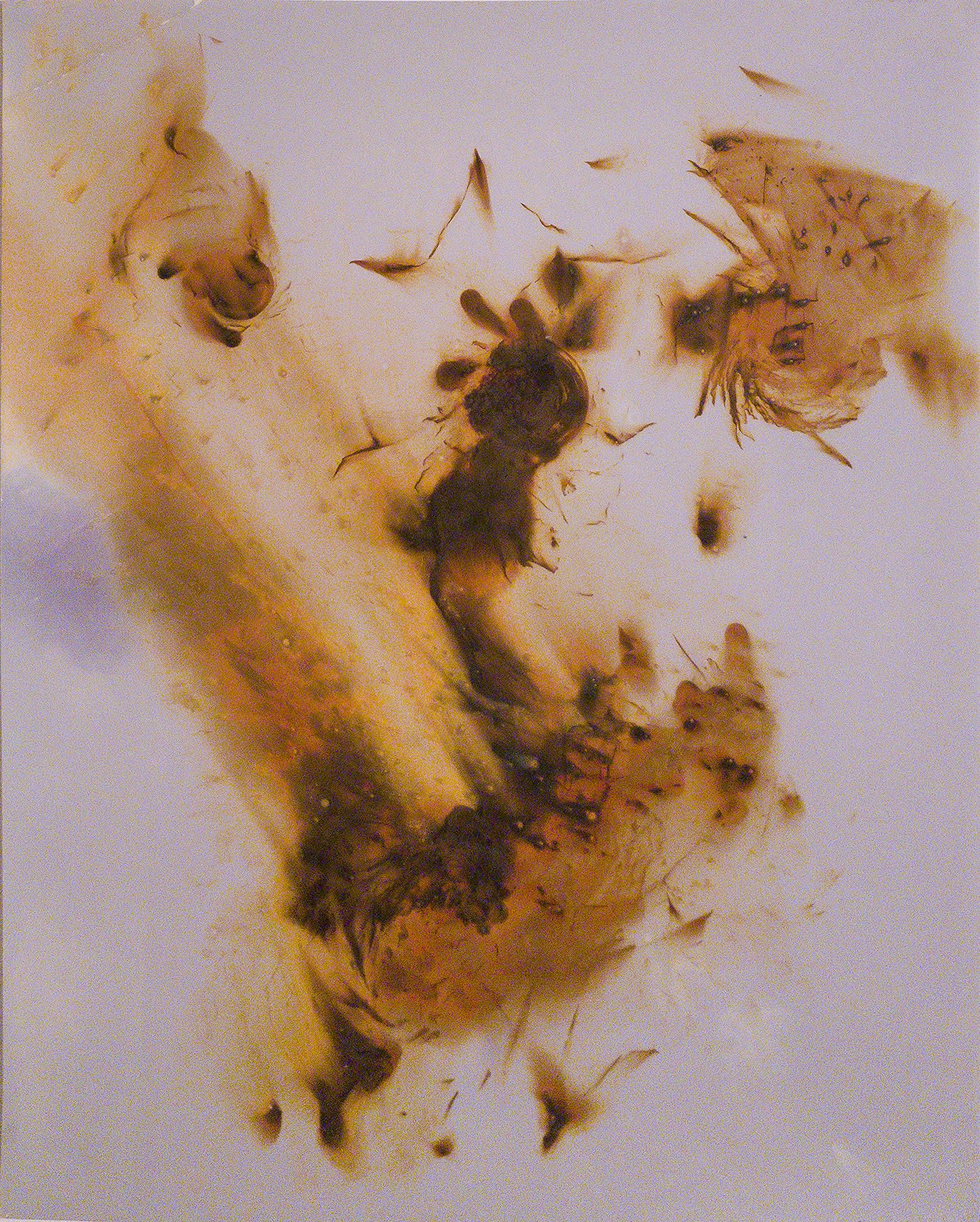 Nolan Preece, Seismo, 1981, Gold toned silver gelatin, 10x8 inches