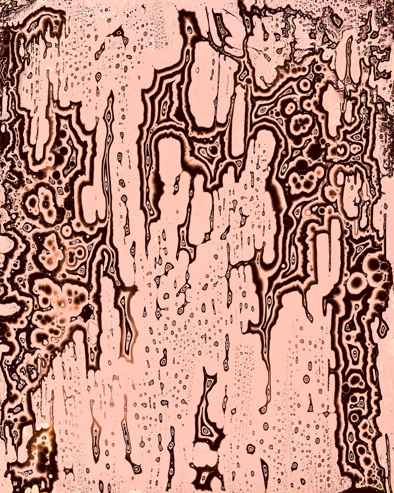 Nolan Preece, Polyvision, 2013, Agfa Brovira wet into wet demo with Polyurathane, and Silver Gelatin 10x8 inches