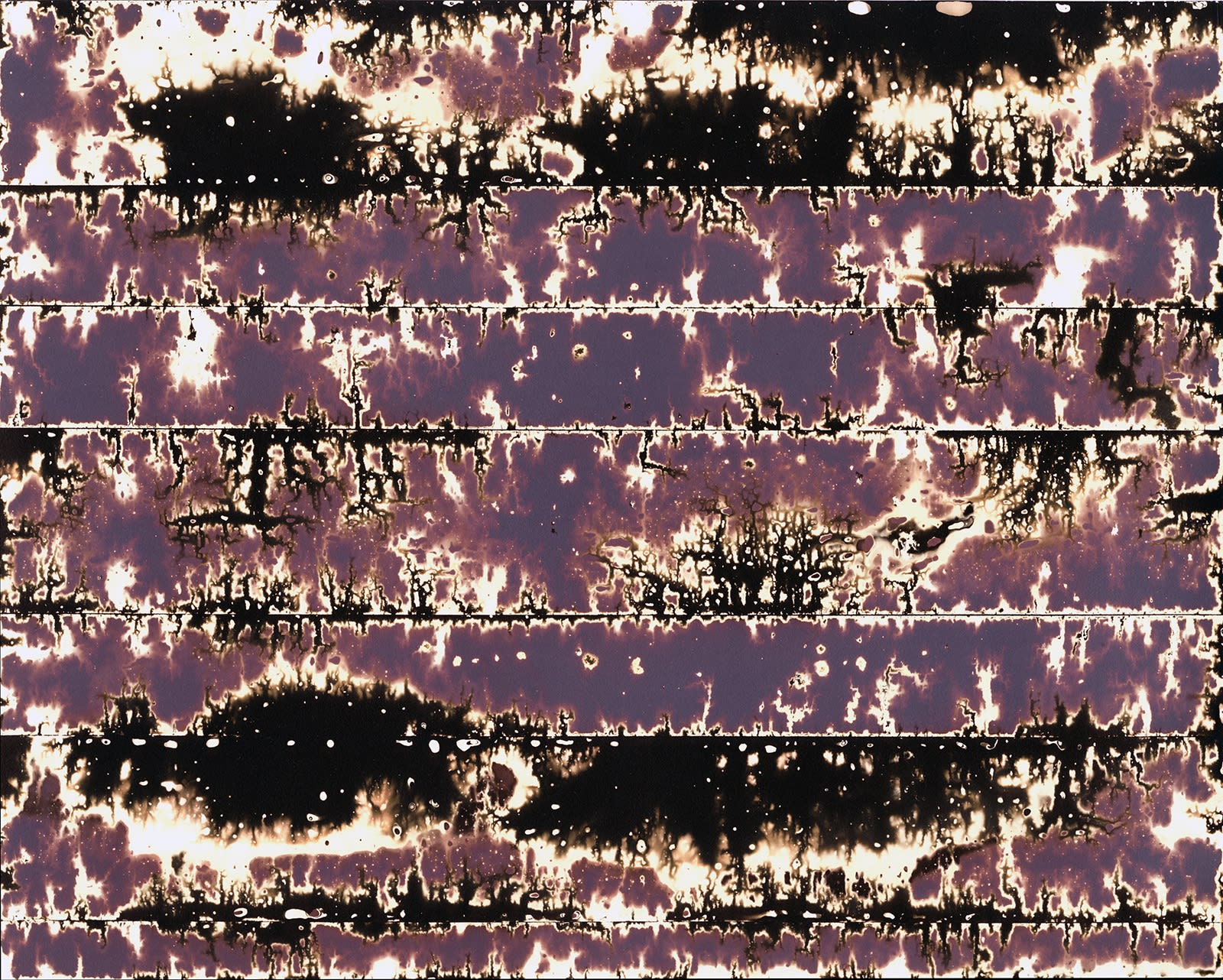 Nolan Preece,Tape Take, 2015, Blue Painter's Tape and Silver Gelatin 8x10 inches