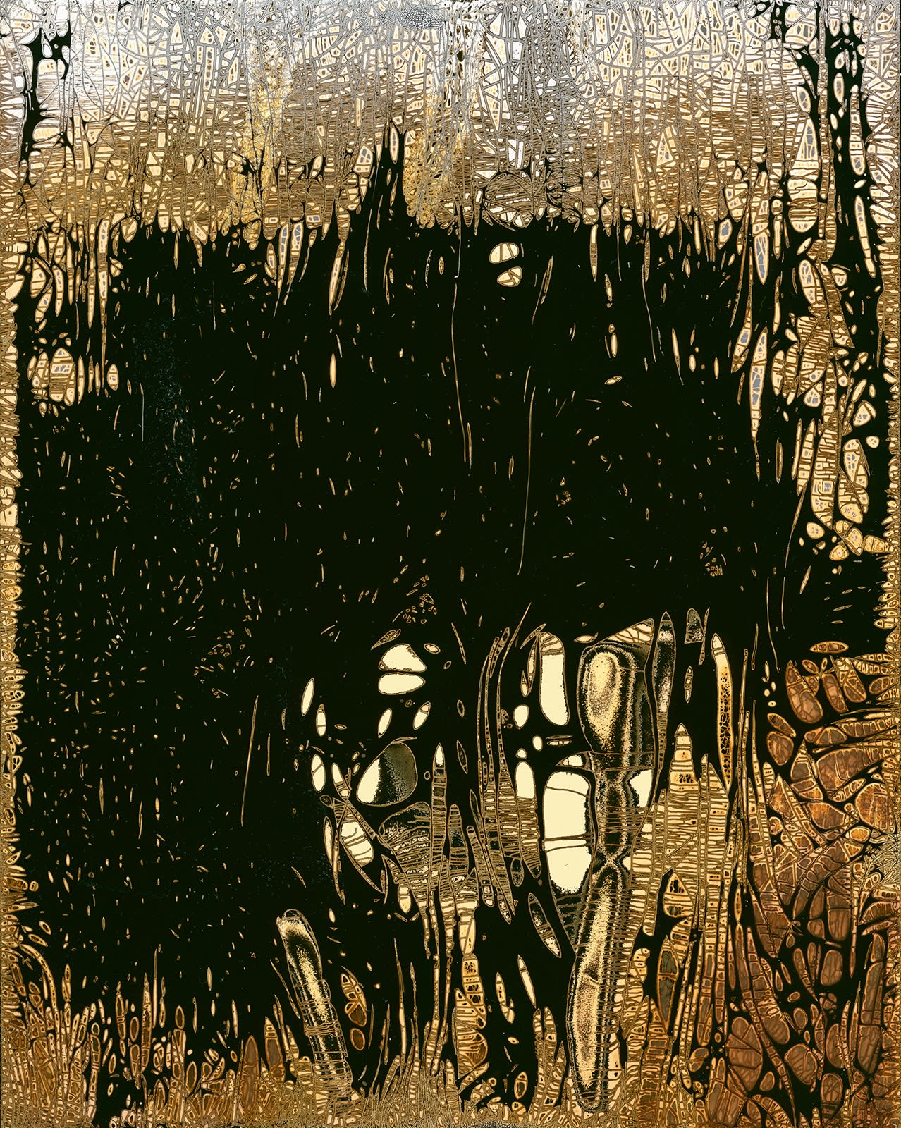 Nolan Preece, Encampment, 2015, Kodak Medalist (1953) and Silver Gelatin 8x10 inches