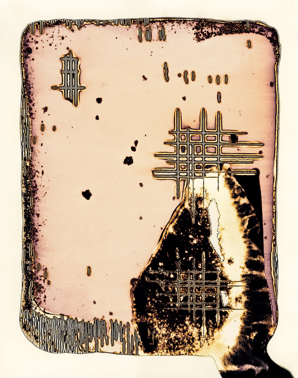 Nolan Preece, Glyphs, 2012, Mineral Spirits Acrylic and Silver Gelatin 10x8 inches