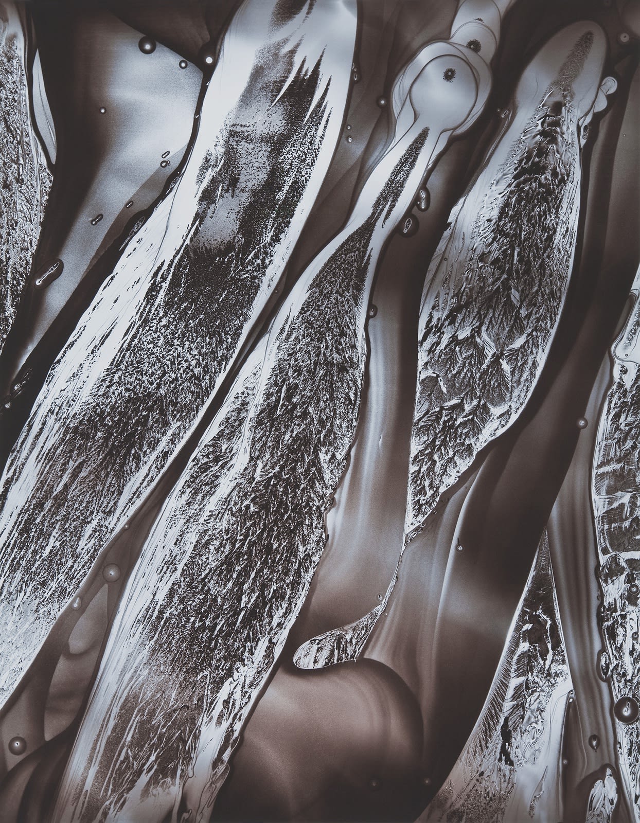 Nolan Preece, Flow, 2001, Silver Gelatin, 20x16 inches