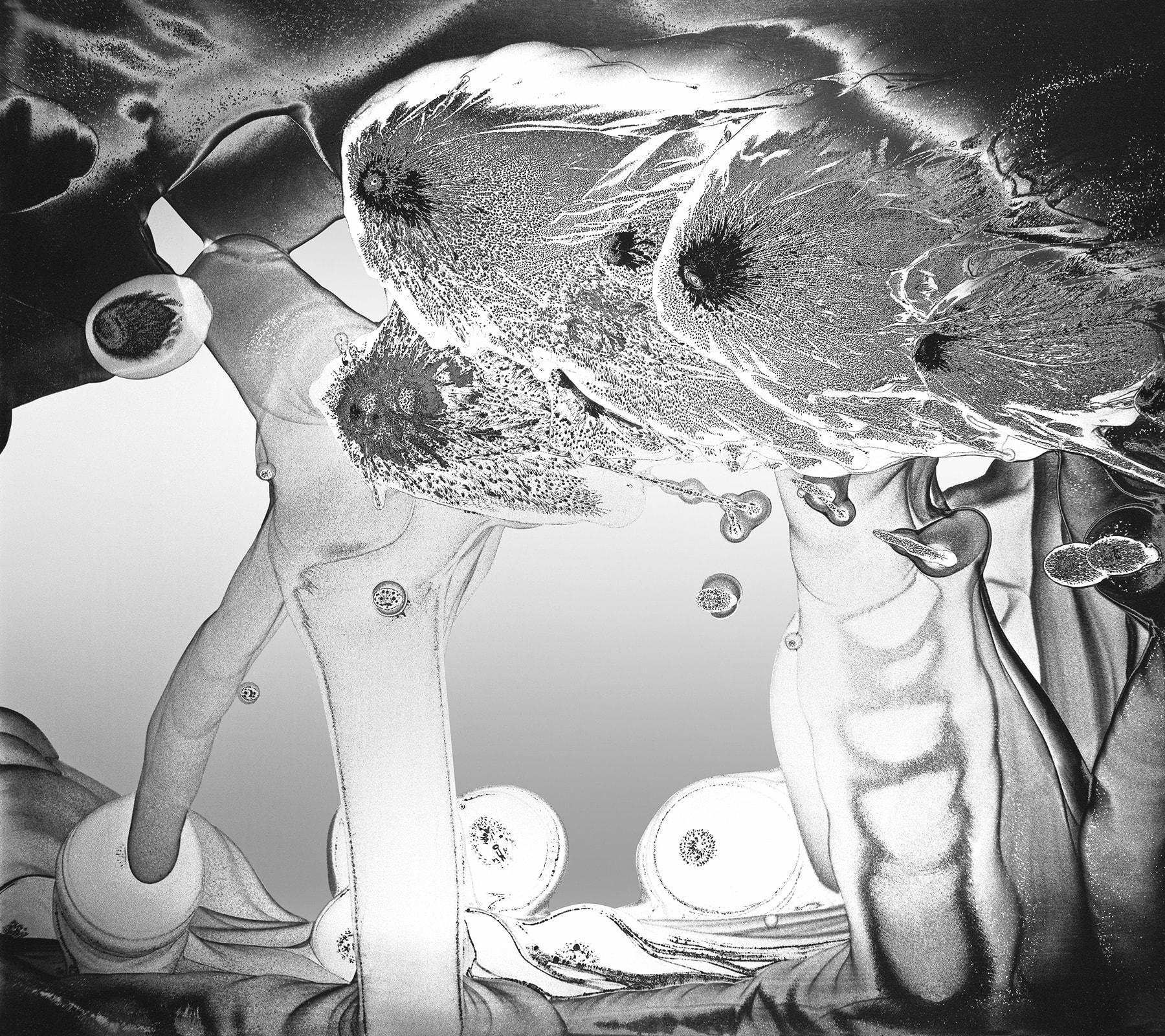 Nolan Preece, Swarm, 1979, Silver Gelatin, 16x18 inches