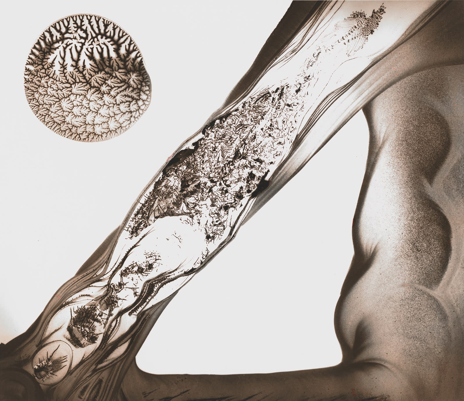 Nolan Preece, Bridge, 1979, Silver Gelatin, 8x8 inches