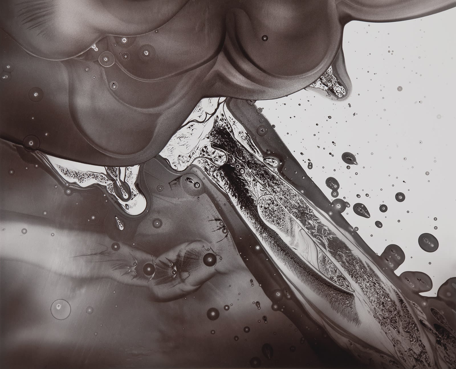 Nolan Preece, Erotic, 2001, Silver Gelatin, 11x14 inches