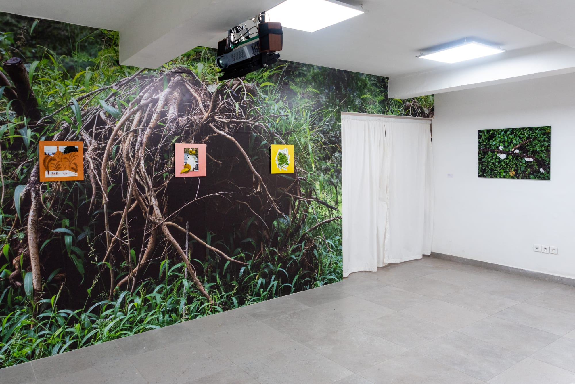 I have this memory, it is not my own