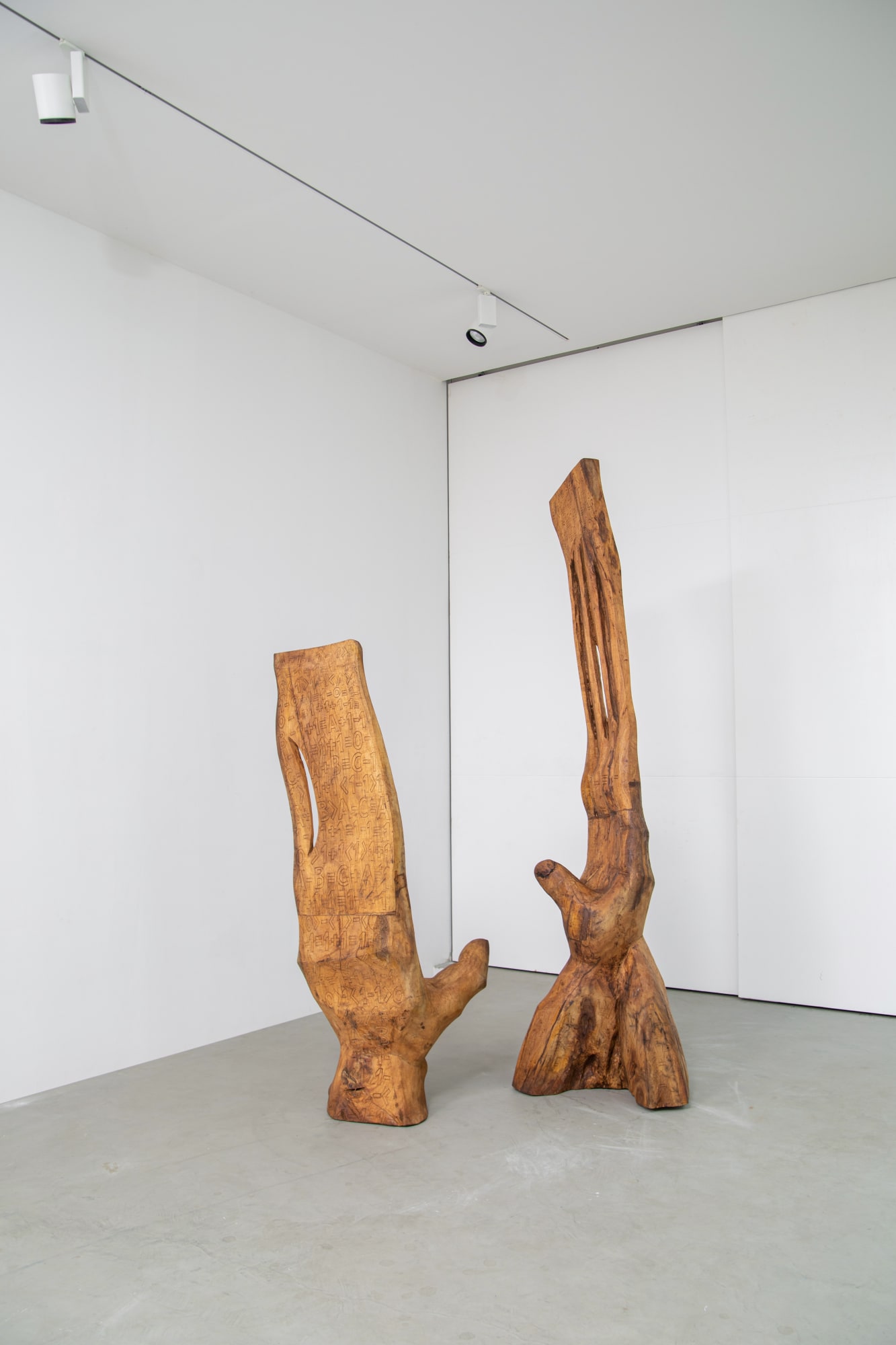 Soro Kafana, Le Moane, Serge Nemlin