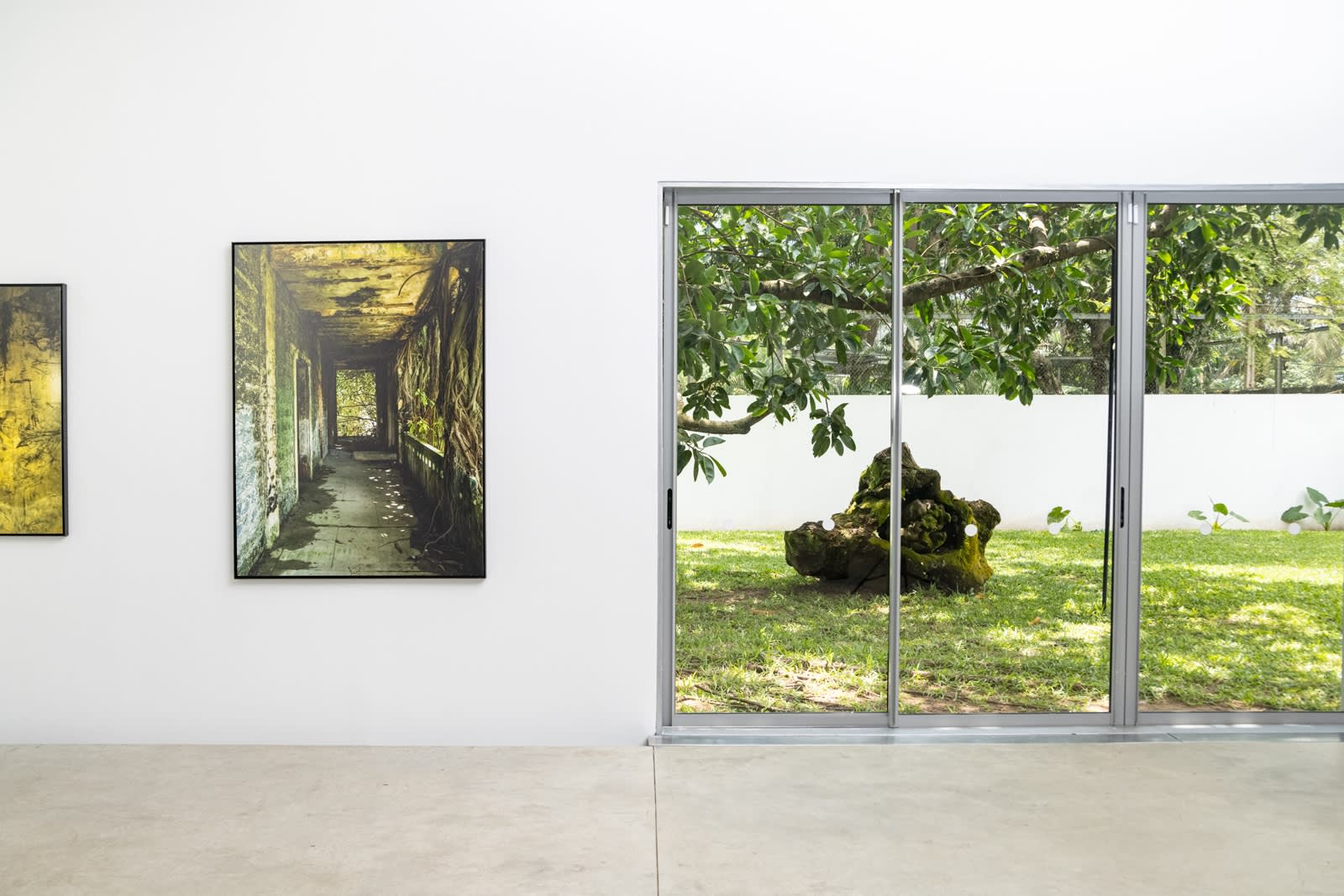 La Nage de l'Éléphant