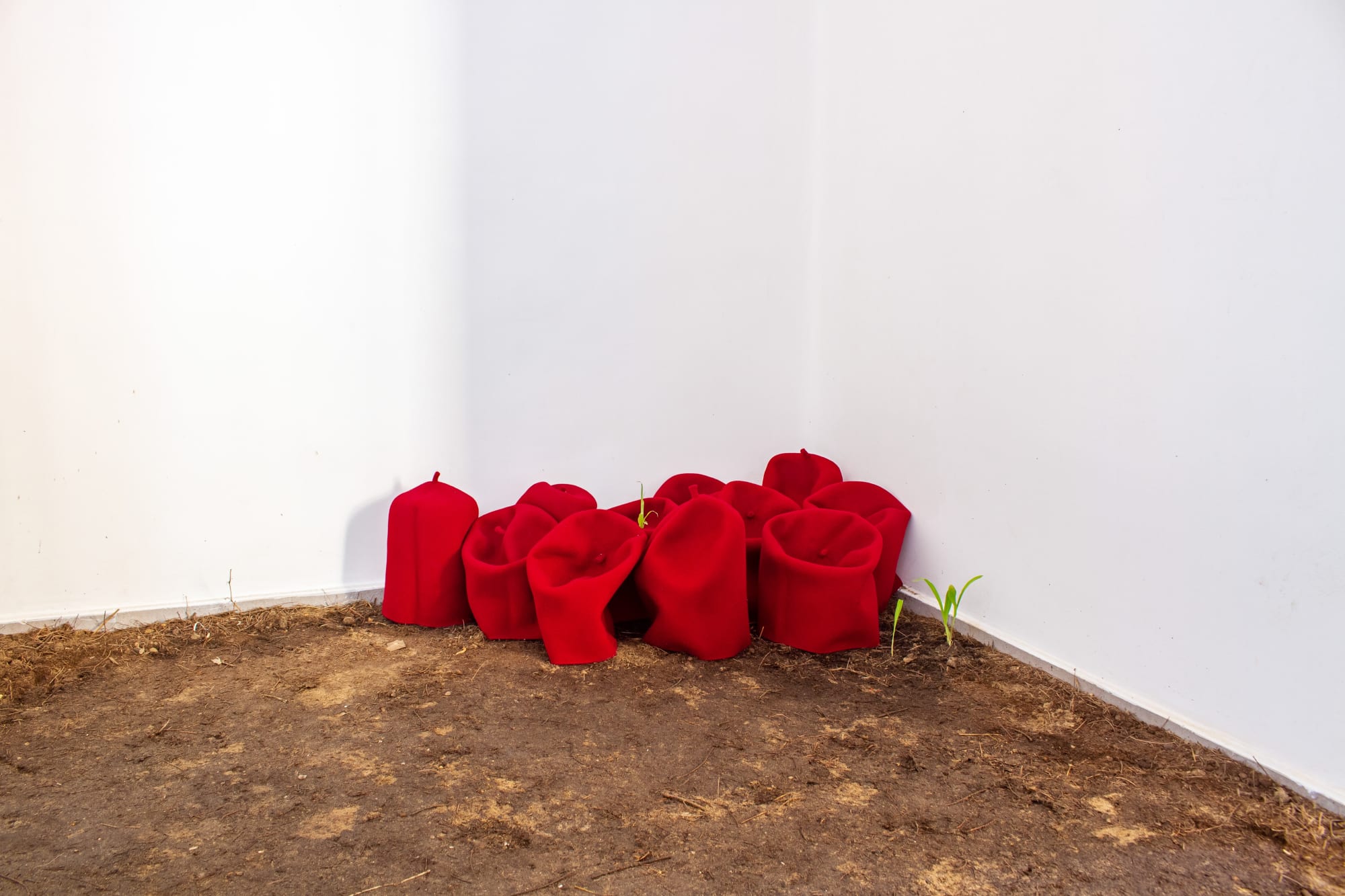 Toolu Xeer (Le champs de pierre)