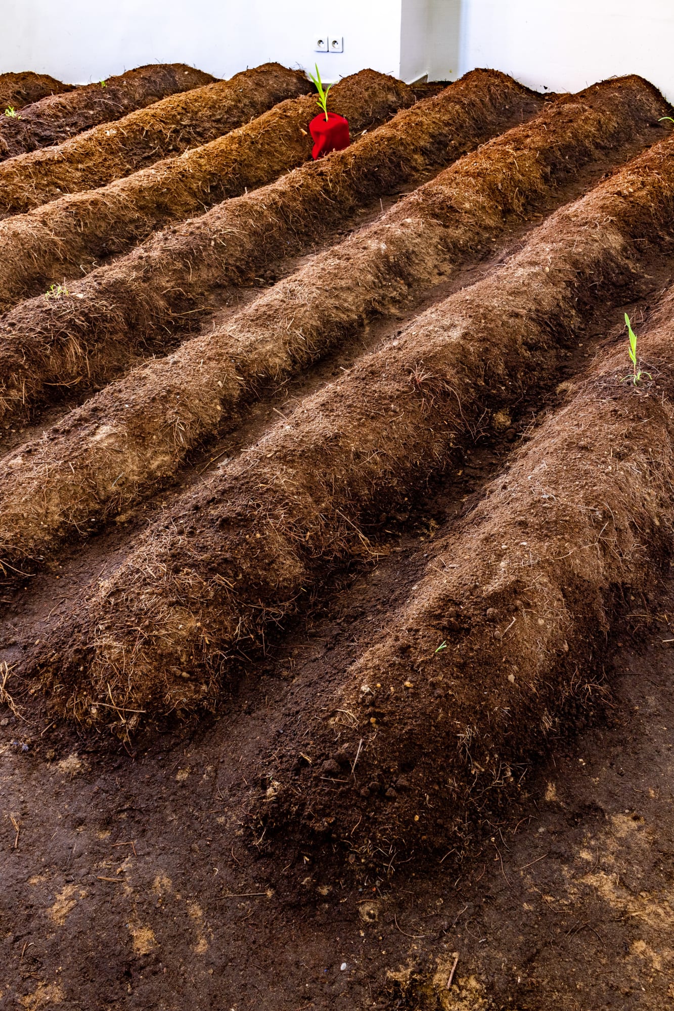 Toolu Xeer (Le champs de pierre)